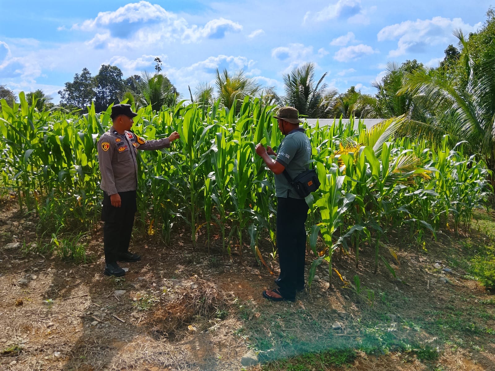 Polsek Teweh Timur Optimalkan Dukungan Ketahanan Pangan Bersama Masyarakat