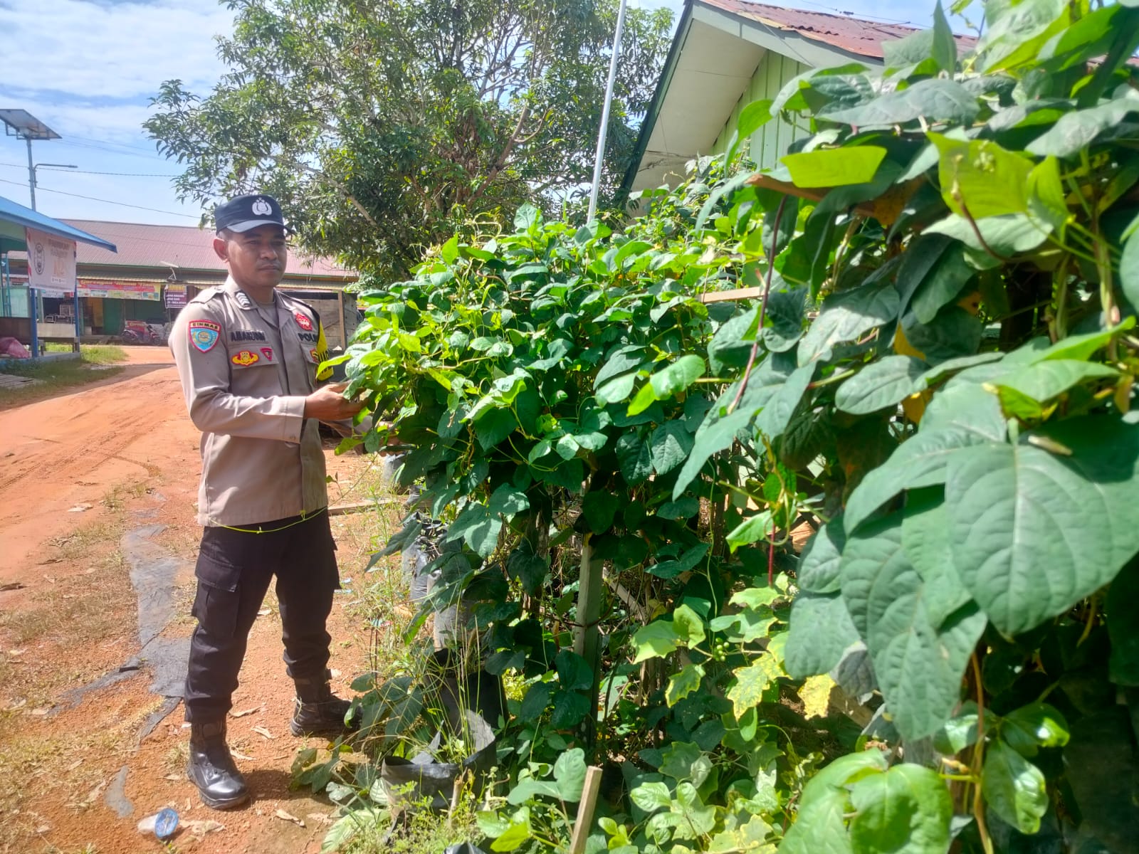 Personil Polsek Marikit Cek Lokasi Pemanfaatan Pekarangan Warga di Kec. Marikit, Kab. Katingan.