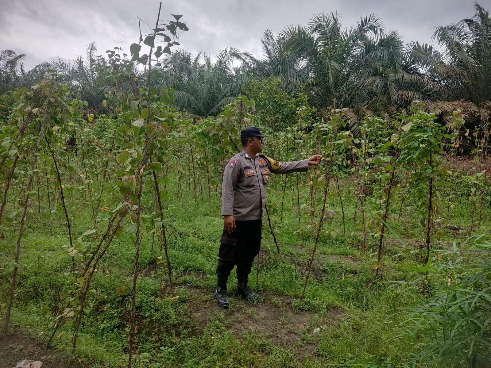 Personel Polsek Tewang Sangalang Garing dan Pulau Malan melaksanakan pengecekan lokasi pemanfaatan lahan pekarangan warga Binaannya