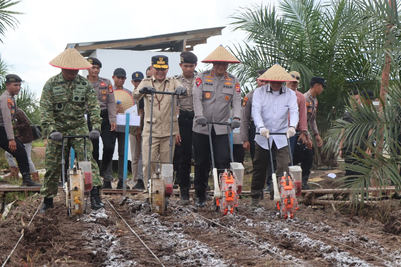 Wujudkan Ketahanan Pangan, Polda Kalteng Gandeng PT. MKM Tanam Jagung di Tengah Lahan Sawit