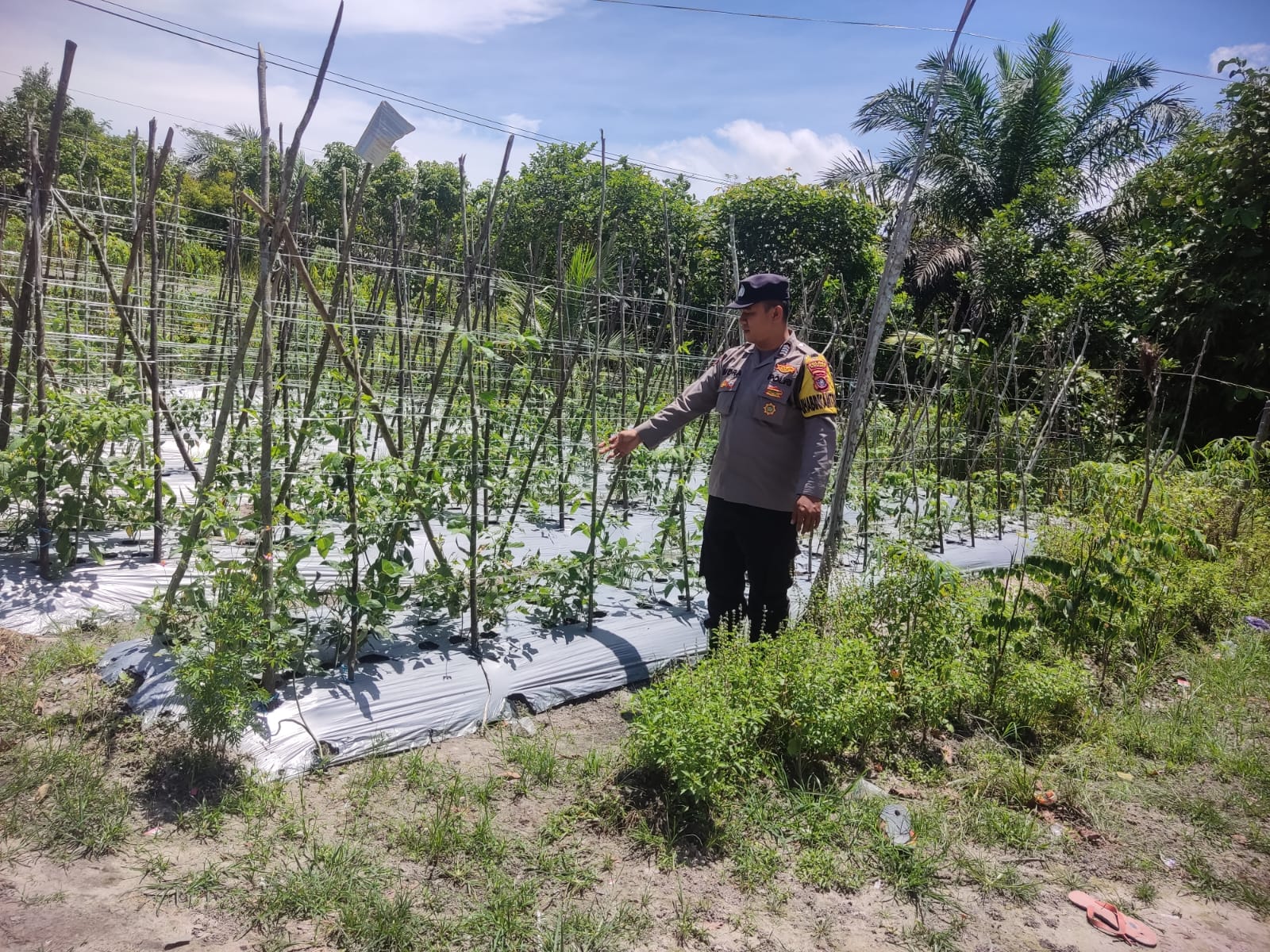 Personel Polsek Tewang Sangalang Garing dan Pulau Malan melaksanakan pengecekan lokasi pemanfaatan lahan pekarangan warga Binaannya