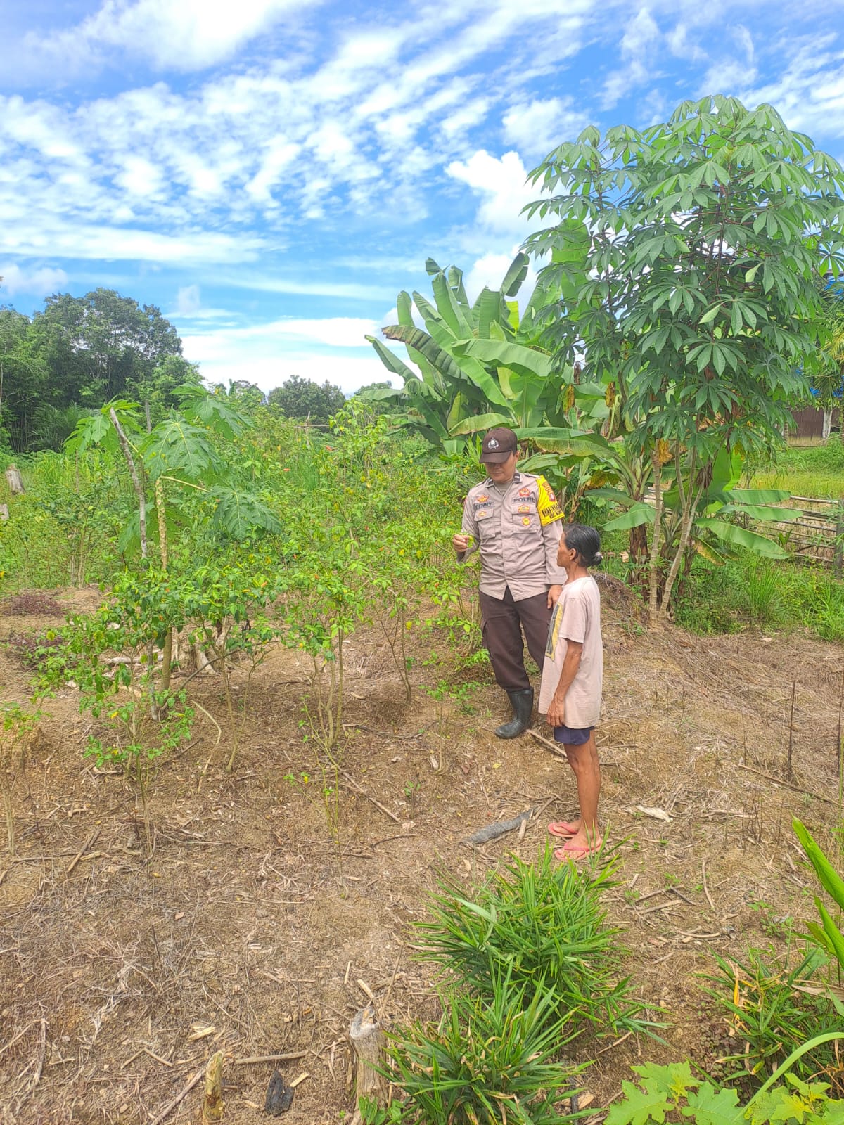 Mendukung Ketahanan Pangan, Personil Polsek Katingan Hulu dan Bukit Raya Cek Lokasi Pemanfaatan Pekarangan Warga.