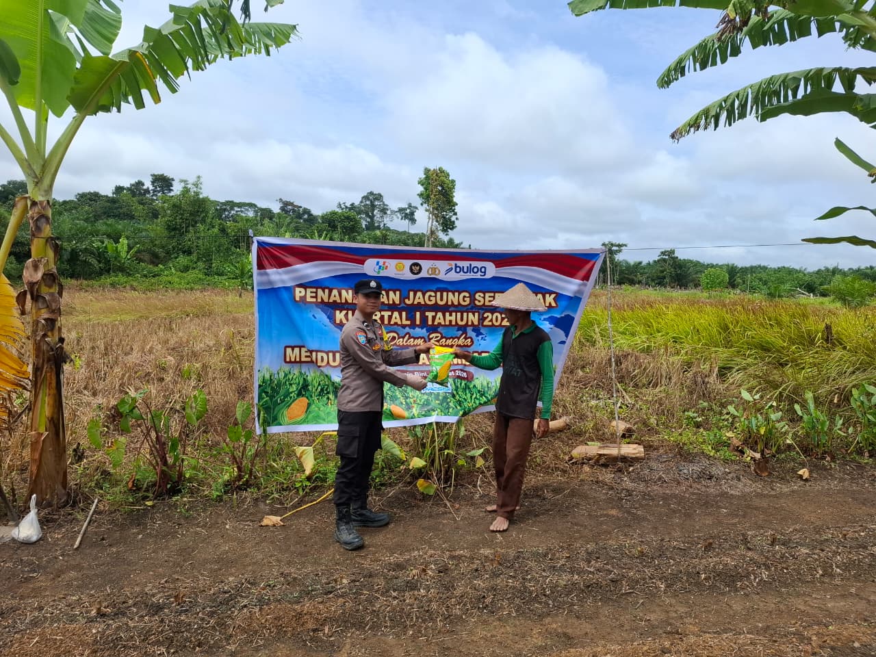 Bhabinkamtibmas Polsek Lamandau Bersama Warga Tanam Jagung Dukung Ketahanan Pangan