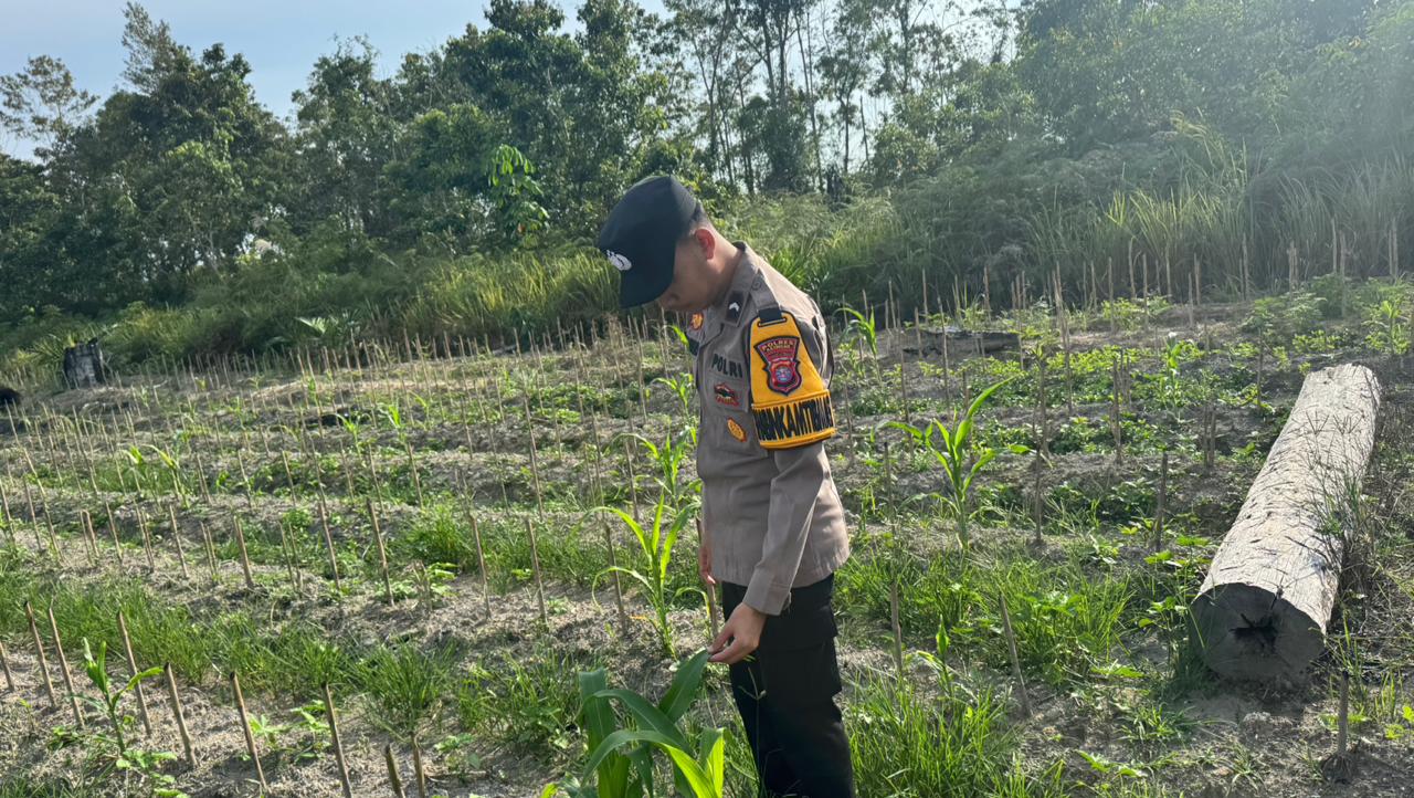Polsek Tewang Sangalang Garing dan Pulau Malan Imbau Warga Tingkatkan Pemanfaatan Lahan Untuk Ketahanan Pangan