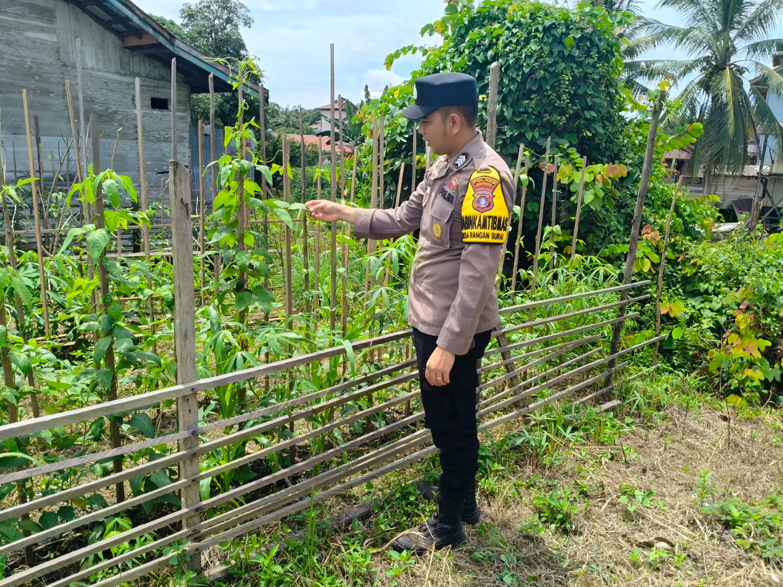 Polsek Marikit melaksanakan kegiatan pengecekan pemanfaatan lahan dalam program Ketahanan Pangan bentuk Dukungan terhadap Kebijakan Presiden RI tentang Asta Cita Ketahanan Pangan