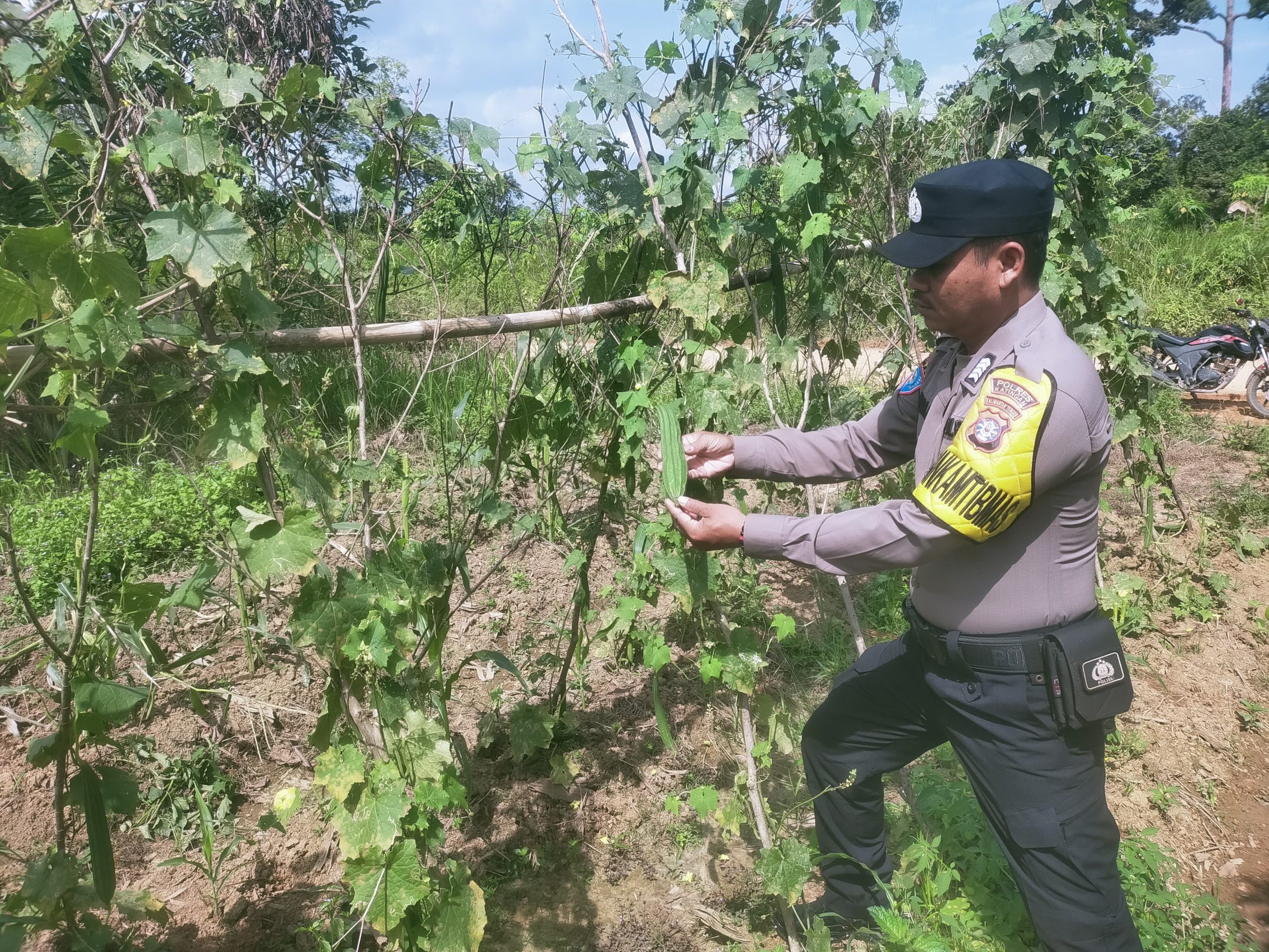 Mendukung Ketahanan Pangan, Personil Polsek sanaman mantikei Cek Lokasi Pemanfaatan Pekarangan Warga.