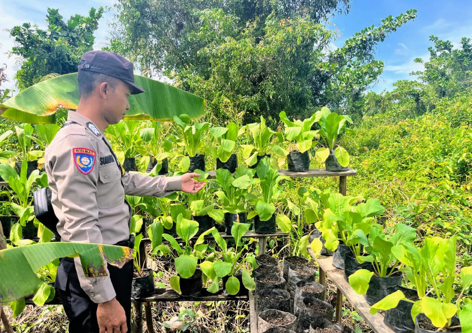 Bhabinkamtibmas Melakukan Pengecekan Lokasi Pemanfaatan Lahan Pekarangan Warga