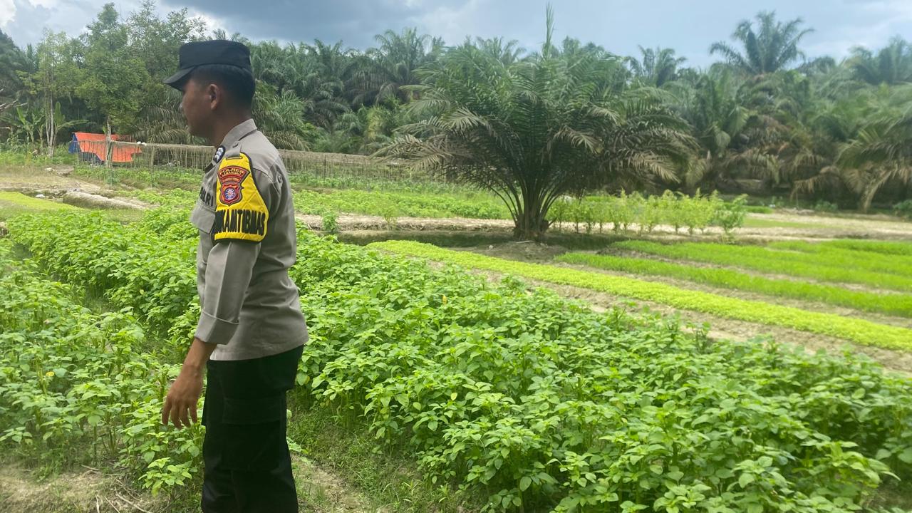 Dukung Ketahanan Pangan, Bhabinkamtibmas Polsek Sematu Jaya Silaturahmi ke masyarakat terkait Program Asta Cita Presiden RI