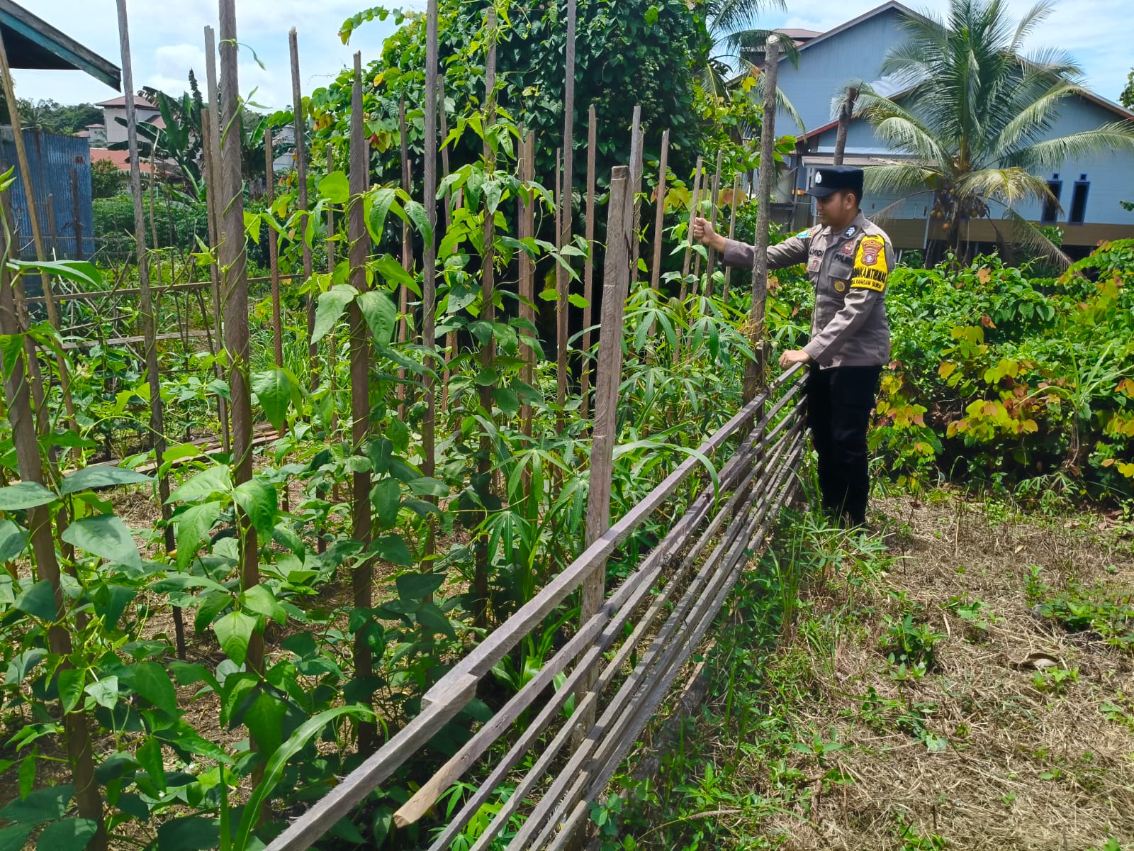 Polsek Marikit melaksanakan kegiatan pengecekan pemanfaatan lahan dalam program Ketahanan Pangan bentuk Dukungan terhadap Kebijakan Presiden RI tentang Asta Cita Ketahanan Pangan