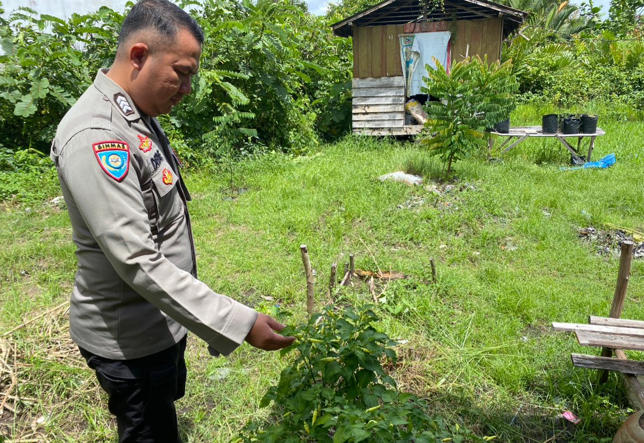 Dalam Rangka Mendukung Program Pemerintah, Bhabinkamtibmas Desa Kampung Melayu Polsek Mendawai Cek Lokasi Pemanfaatan Lahan Pekarangan Warga