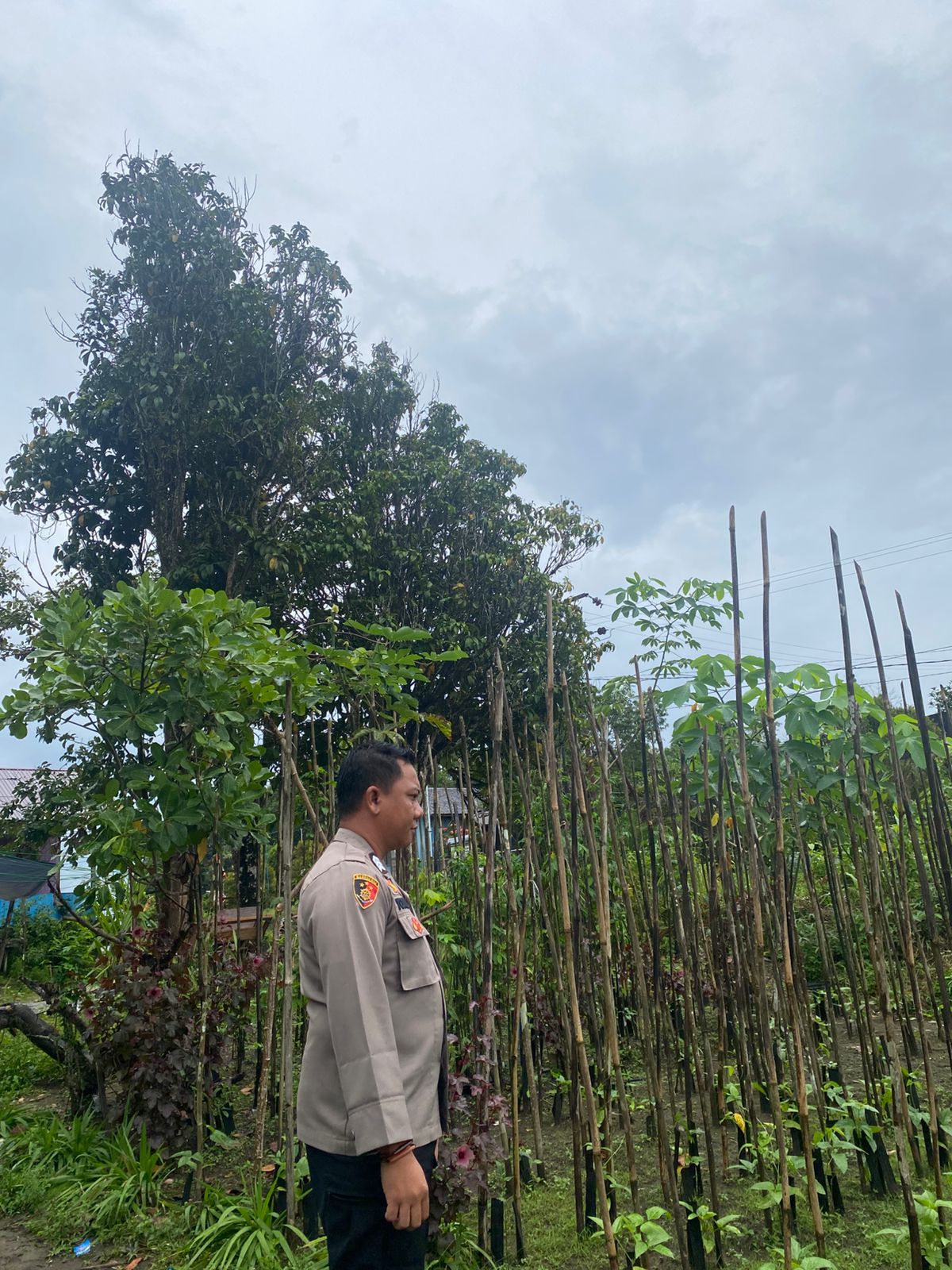 Mendukung Ketahanan Pangan, Personil Polsek sanaman mantikei Cek Lokasi Pemanfaatan Pekarangan Warga.