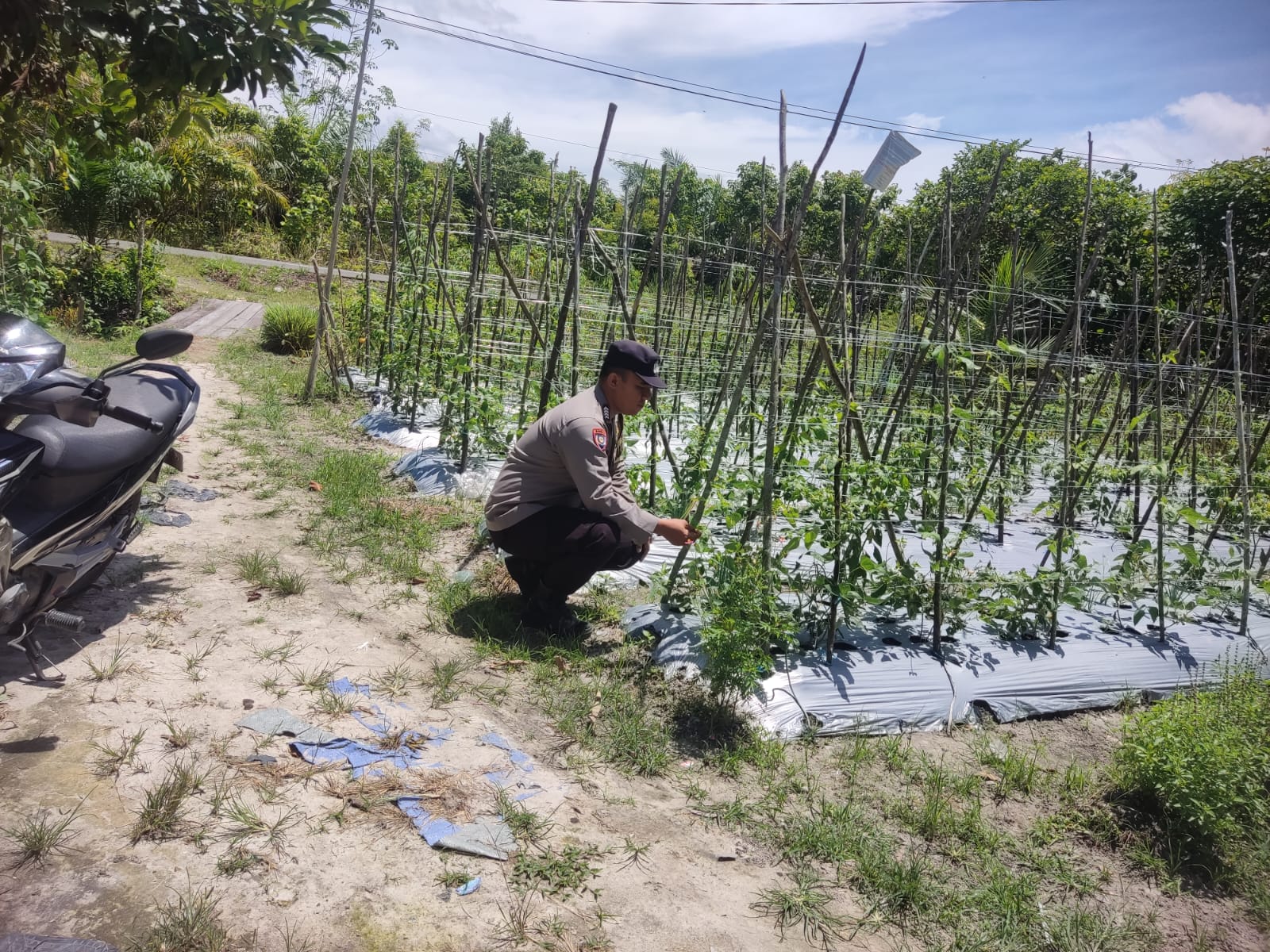 Personel Polsek Tewang Sangalang Garing dan Pulau Malan melaksanakan pengecekan lokasi pemanfaatan lahan pekarangan warga Binaannya