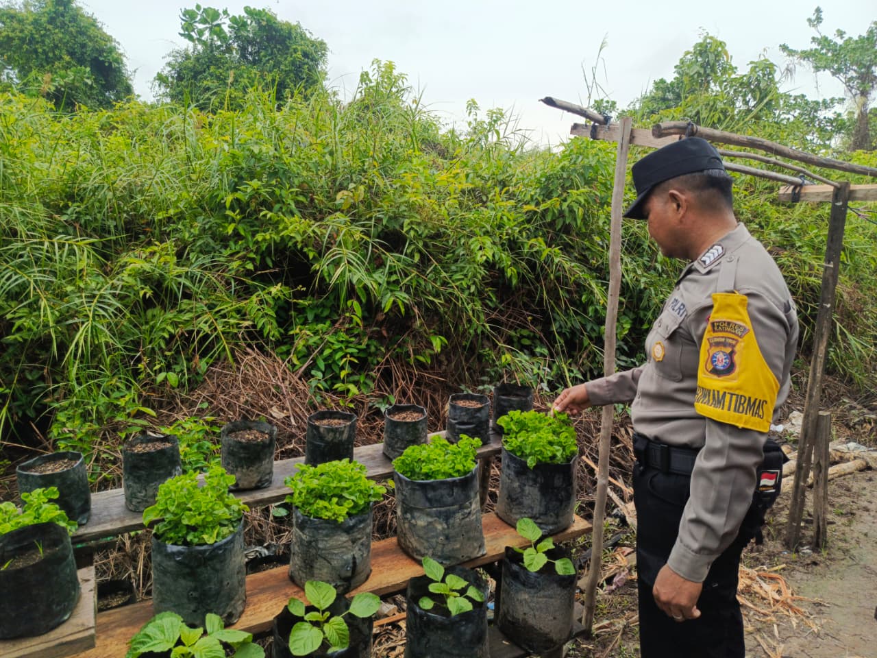 Mendukung ketahanan pangan, Personil Polsek Katingan Kuala cek lokasi pemanfaatan lahan warga berkebun holtikultura