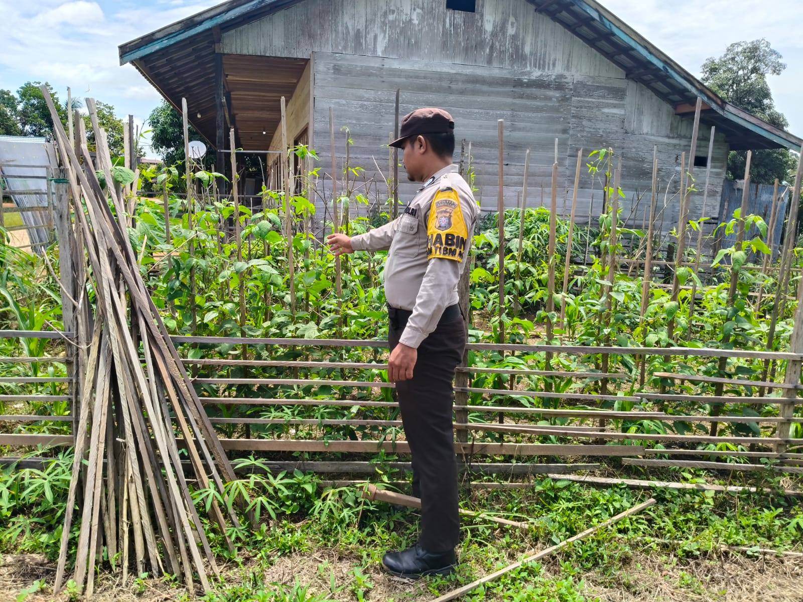 Polsek Marikit melaksanakan kegiatan pengecekan pemanfaatan lahan dalam program Ketahanan Pangan bentuk Dukungan terhadap Kebijakan Presiden RI tentang Asta Cita Ketahanan Pangan
