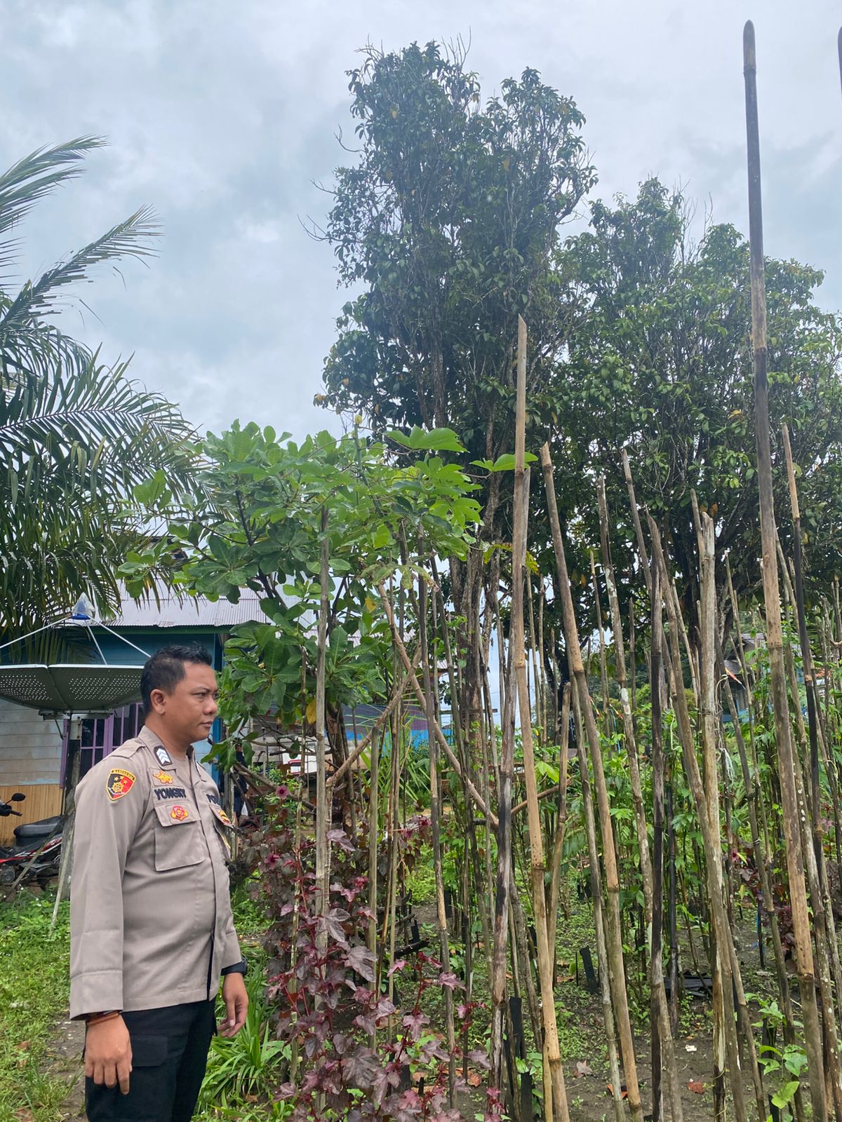 Mendukung Ketahanan Pangan, Personil Polsek sanaman mantikei Cek Lokasi Pemanfaatan Pekarangan Warga.
