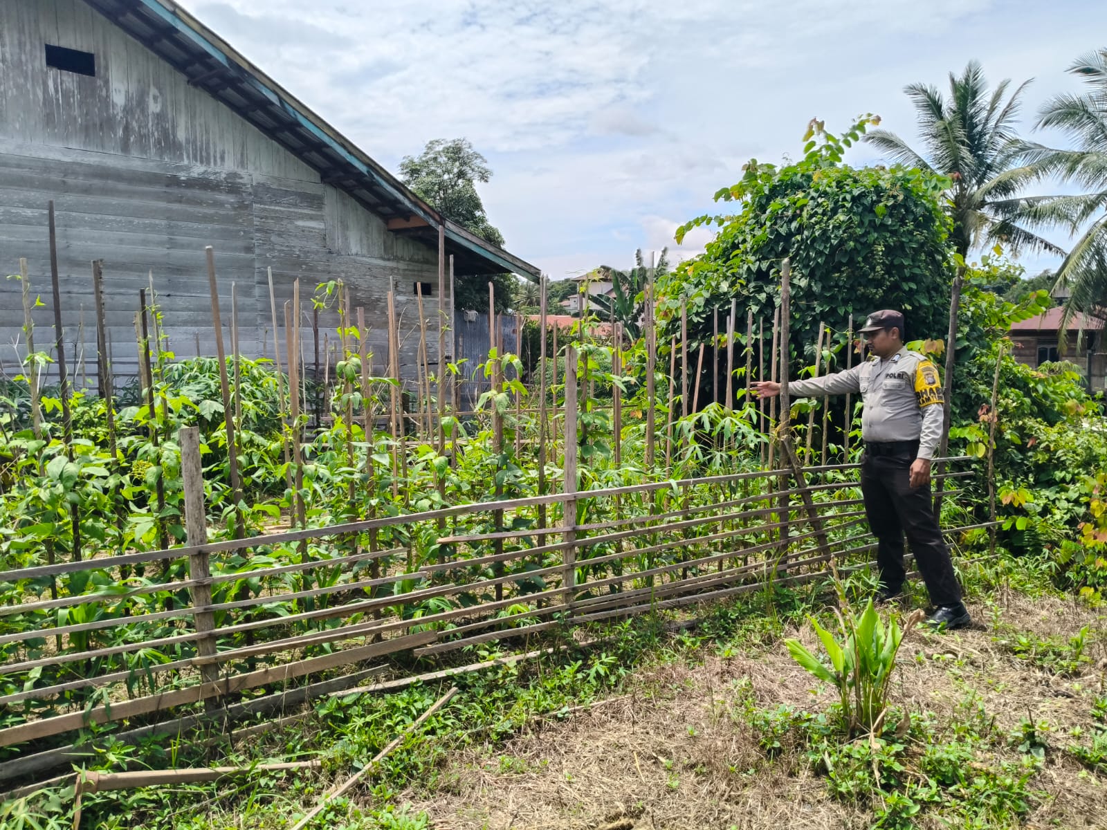 ‎Polsek Marikit melaksanakan kegiatan pengecekan pemanfaatan lahan dalam program Ketahanan Pangan bentuk Dukungan terhadap Kebijakan Presiden RI tentang Asta Cita Ketahanan Pangan
