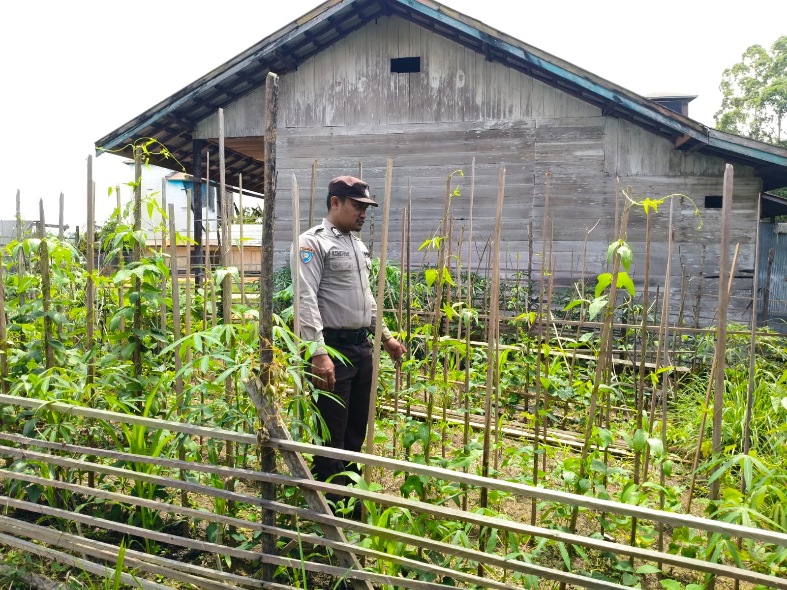 ‎Polsek Marikit melaksanakan kegiatan pengecekan pemanfaatan lahan dalam program Ketahanan Pangan bentuk Dukungan terhadap Kebijakan Presiden RI tentang Asta Cita Ketahanan Pangan