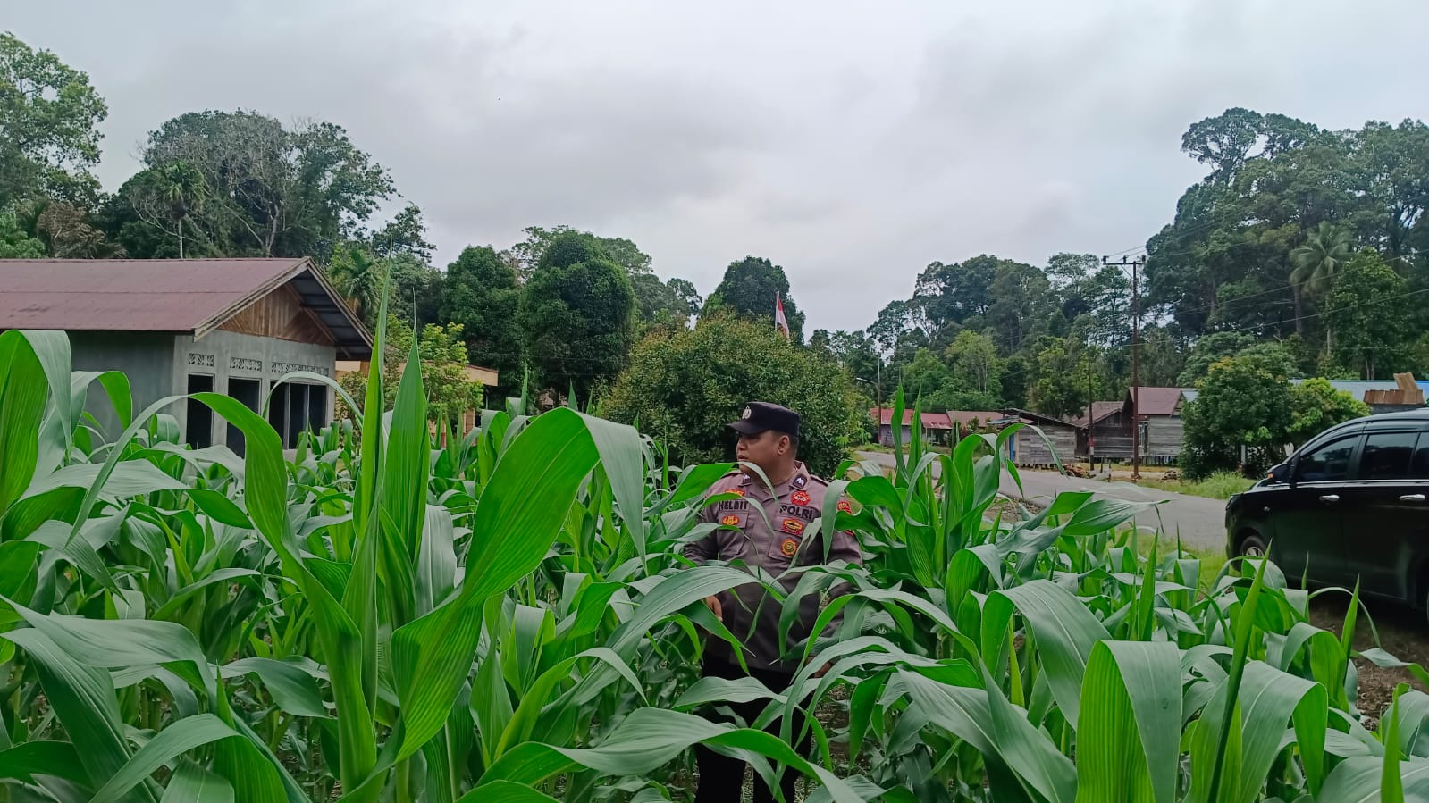 Polsek Tewang Sangalang Garing dan Pulau Malan Imbau Warga Tingkatkan Pemanfaatan Lahan Untuk Ketahanan Pangan