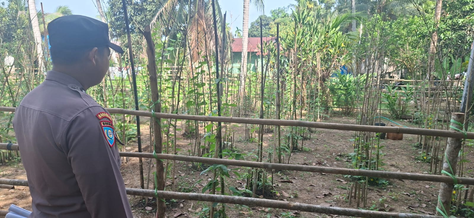 Mendukung Ketahanan Pangan, Personil Polsek sanaman mantikei Cek Lokasi Pemanfaatan Pekarangan Warga.