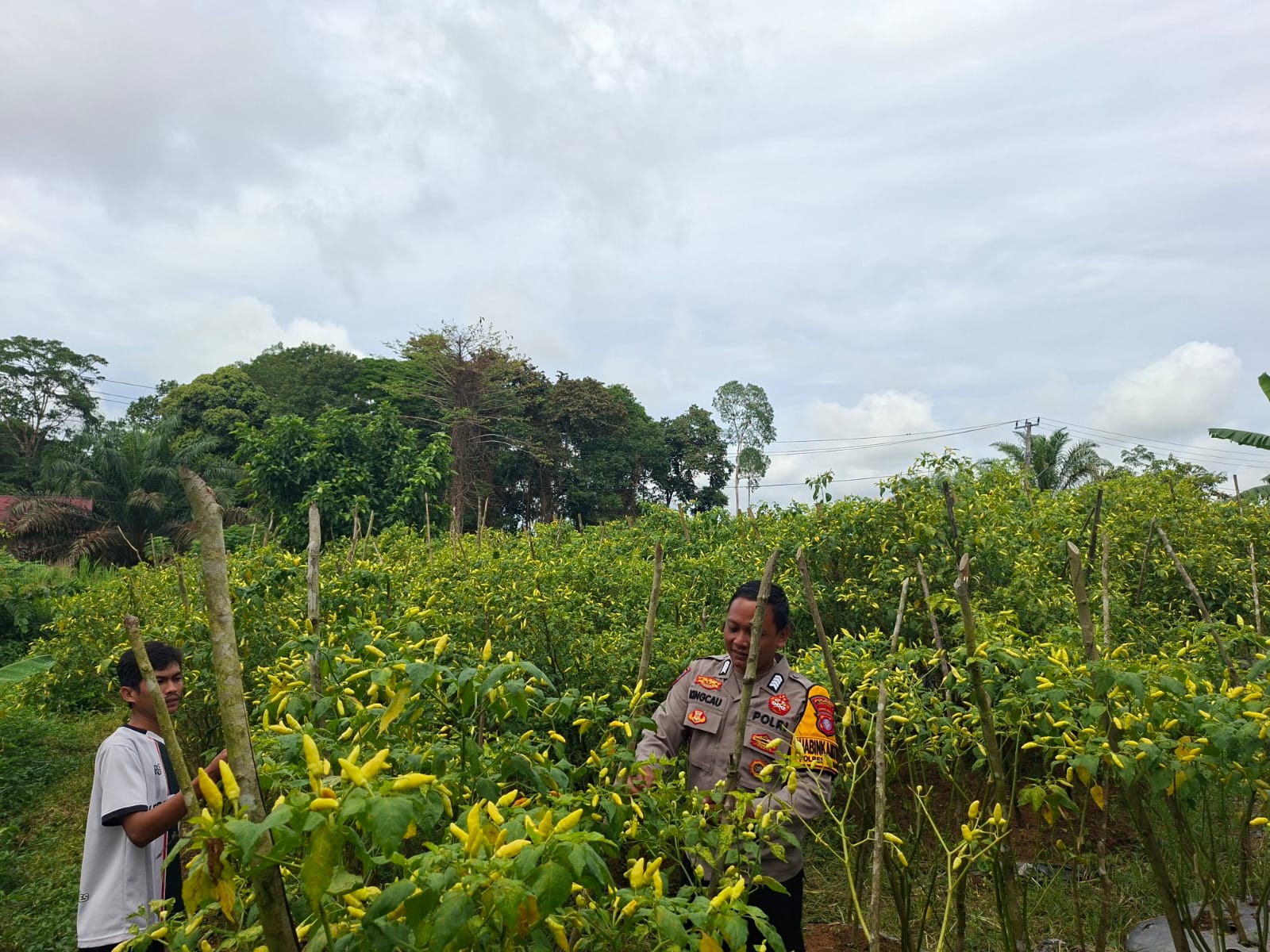 Bhabinkamtibmas Bersama Warga, Wujudkan Ketahanan Pangan Lewat Program Asta Cita