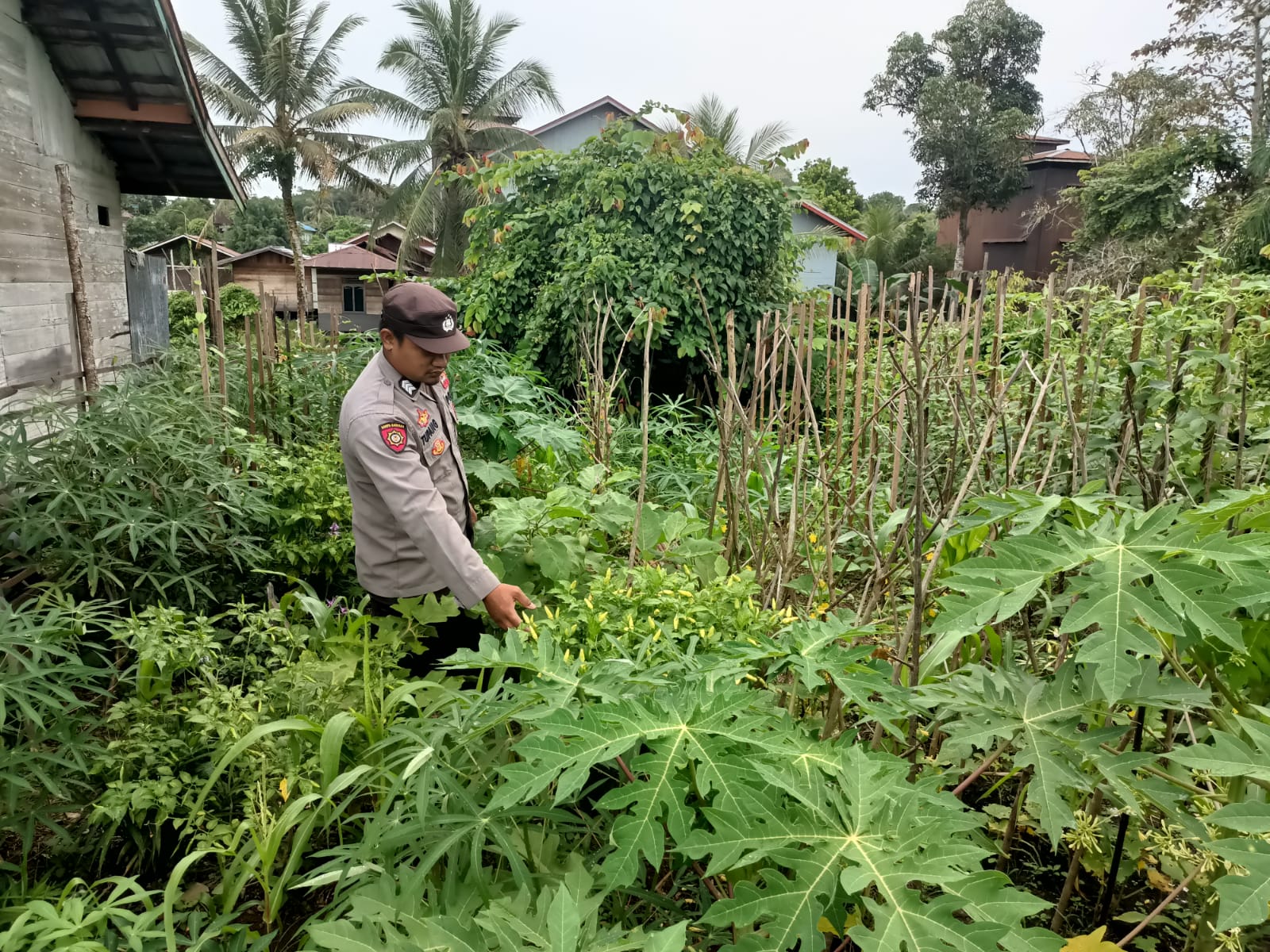 *Polsek Marikit Menggerakkan Ketahanan, Menghidupkan Lahan: Dari Pekarangan Menuju Kedaulatan Pangan*