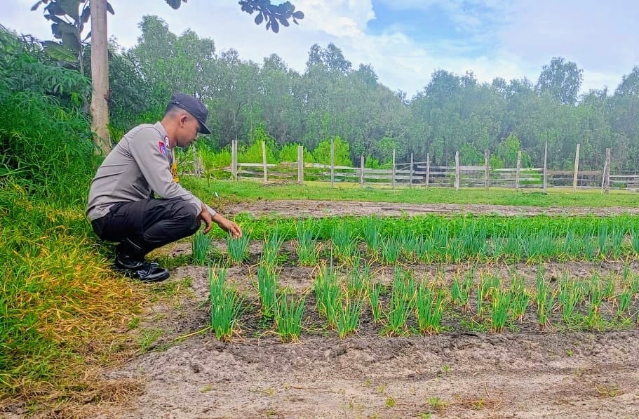 Bhabinkamtibmas Melakukan Pengecekan Lokasi Pemanfaatan Lahan Pekarangan Warga
