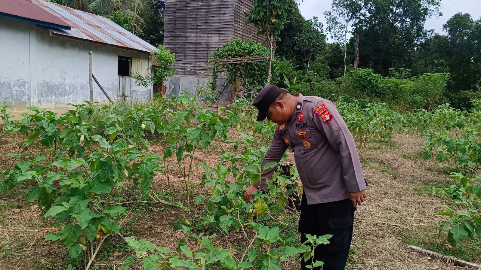 Polsek Tewang Sangalang Garing dan Pulau Malan Imbau Warga Tingkatkan Pemanfaatan Lahan Untuk Ketahanan Pangan
