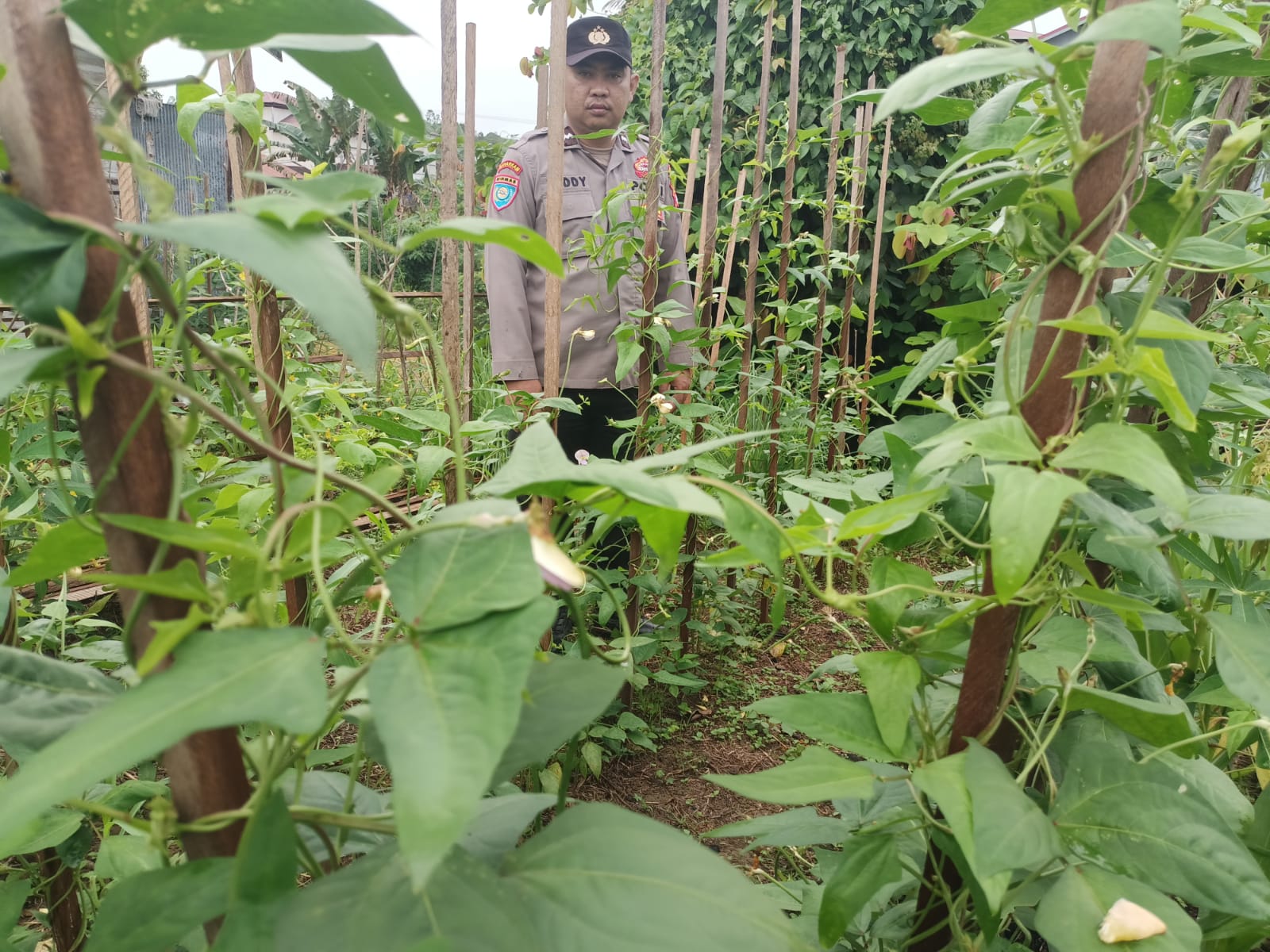 Personil Polsek Marikit Cek Lokasi Pemanfaatan Pekarangan Warga di Kec. Marikit, Kab. Katingan.