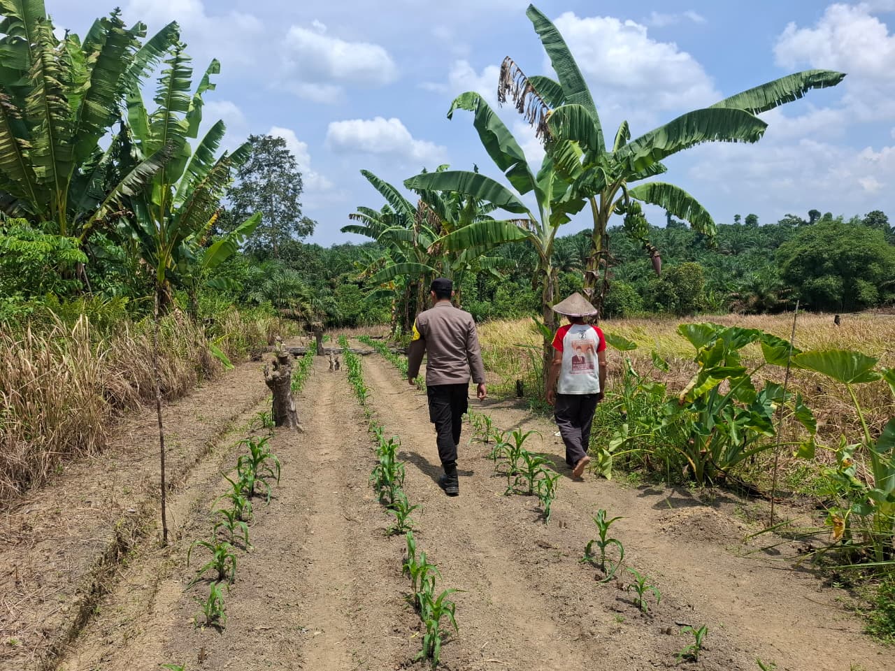 Perkuat Ketahanan Pangan, Bhabinkamtibmas Ajak Warga Tanam Jagung