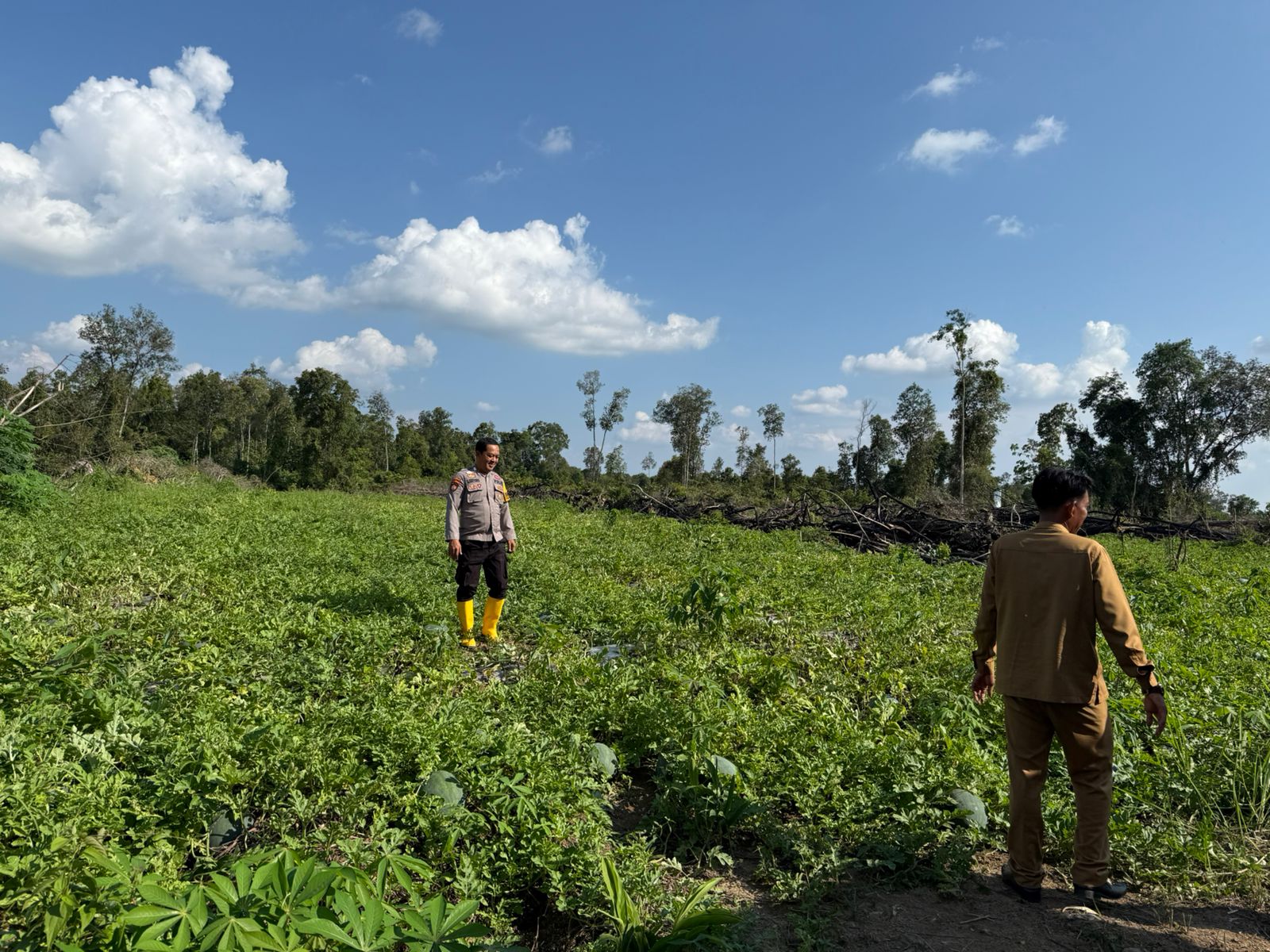 Sinergi Asta Cita, Bhabinkamtibmas Perkuat Ketahanan Pangan Masyarakat