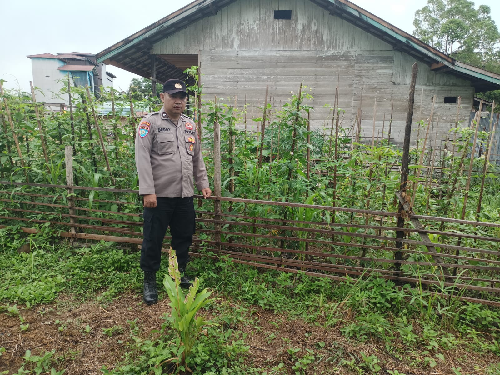 Personil Polsek Marikit Cek Lokasi Pemanfaatan Pekarangan Warga di Kec. Marikit, Kab. Katingan.