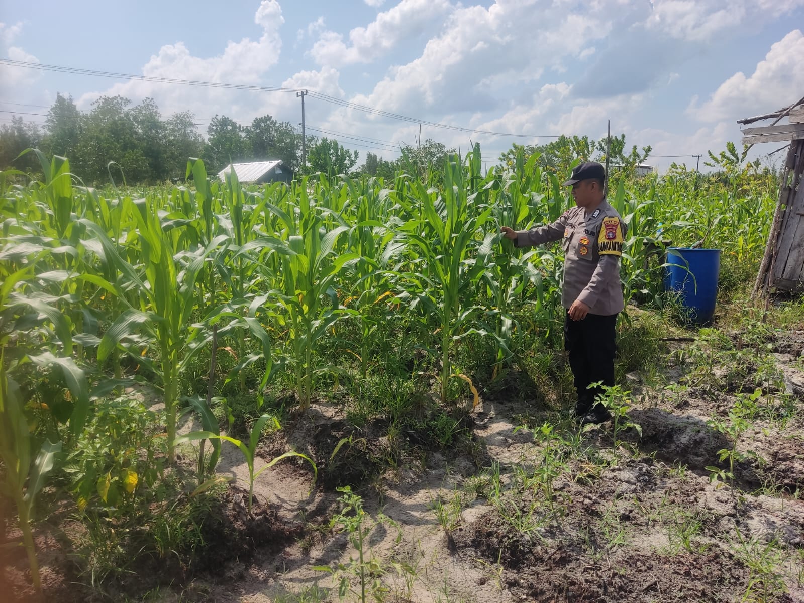 Personel Polsek Tewang Sangalang Garing dan Pulau Malan melaksanakan pengecekan lokasi pemanfaatan lahan pekarangan warga Binaannya
