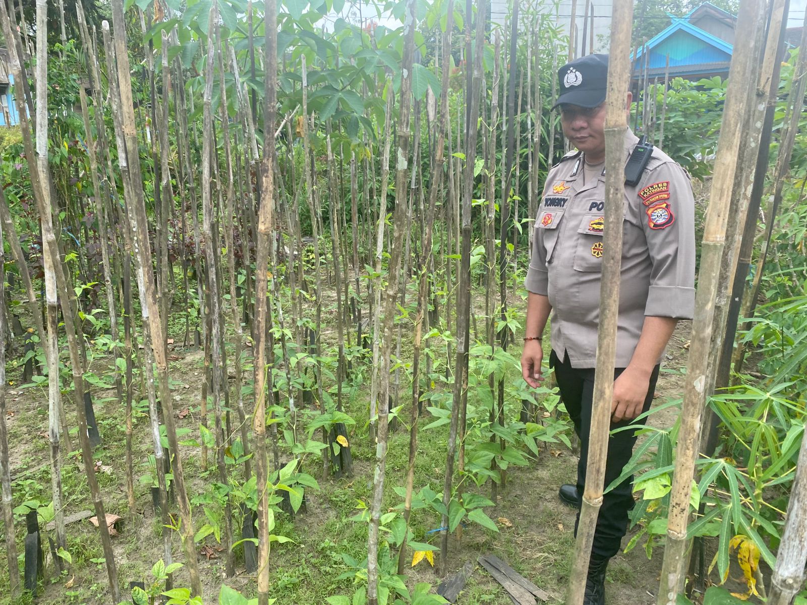 Mendukung Ketahanan Pangan, Personil Polsek sanaman mantikei Cek Lokasi Pemanfaatan Pekarangan Warga.