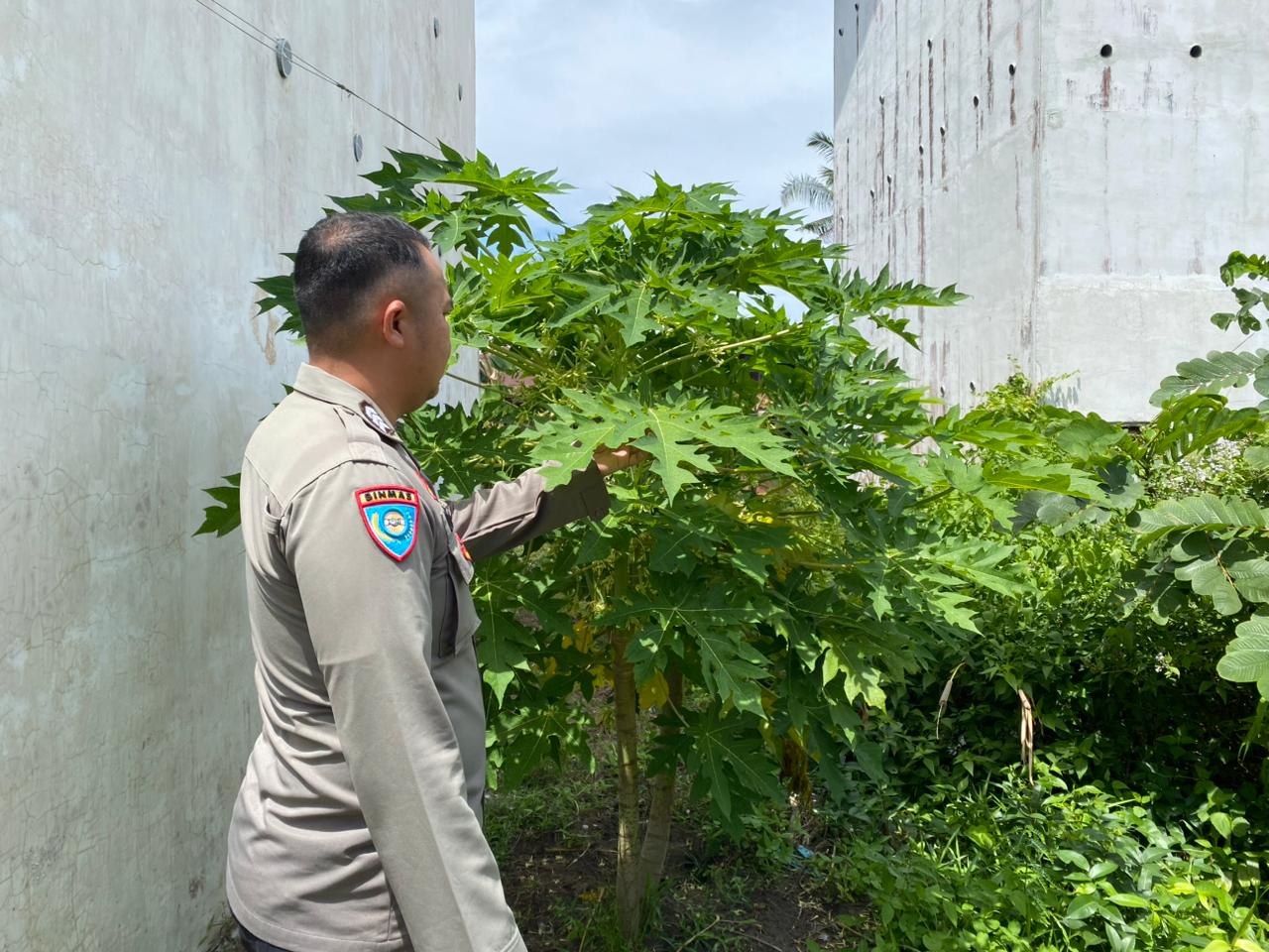 Dalam Rangka Mendukung Program Pemerintah, Bhabinkamtibmas Desa Kampung Melayu Polsek Mendawai Cek Lokasi Pemanfaatan Lahan Pekarangan Warga