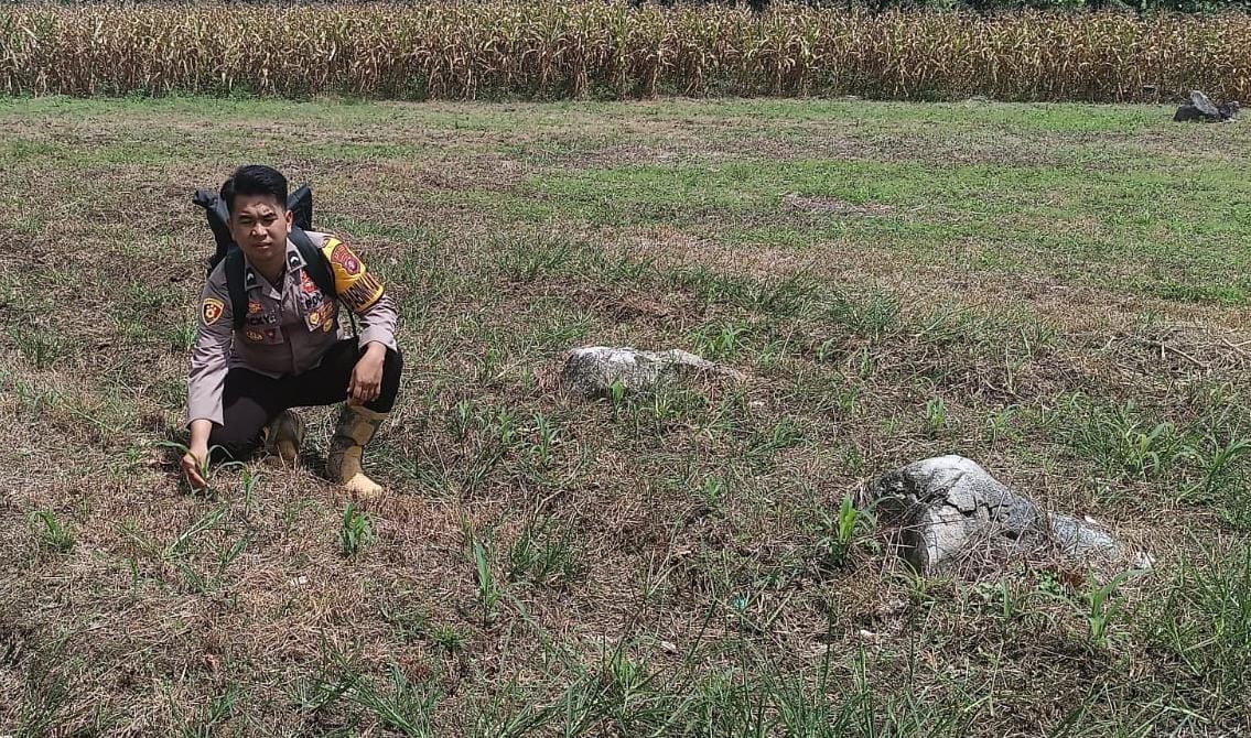 Bhabinkamtibmas Jadi Motor Penggerak, Polsek Teweh Timur Dorong Ketahanan Pangan di Desa Mampuak 2