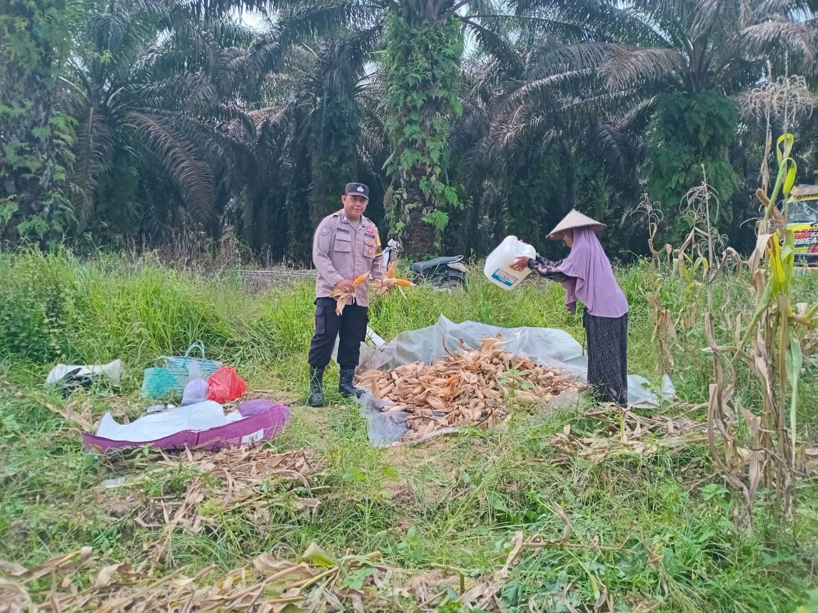 Bhabinkamtibmas Polsek Sematu Jaya Hadiri dan Dukung Kegiatan Panen Jagung Program Ketahanan Pangan