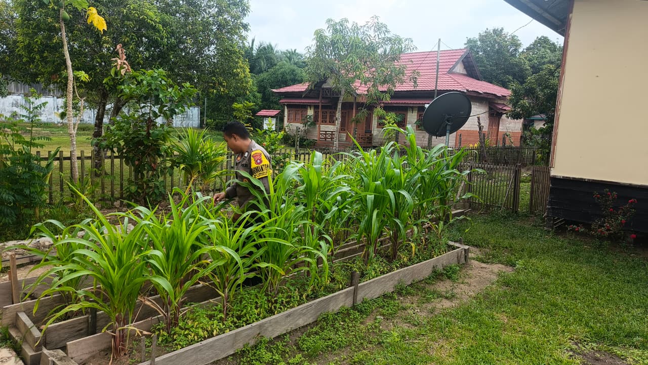 Personil Polsek Marikit Cek Lokasi Pemanfaatan Pekarangan Warga di Kec. Marikit, Kab. Katingan.