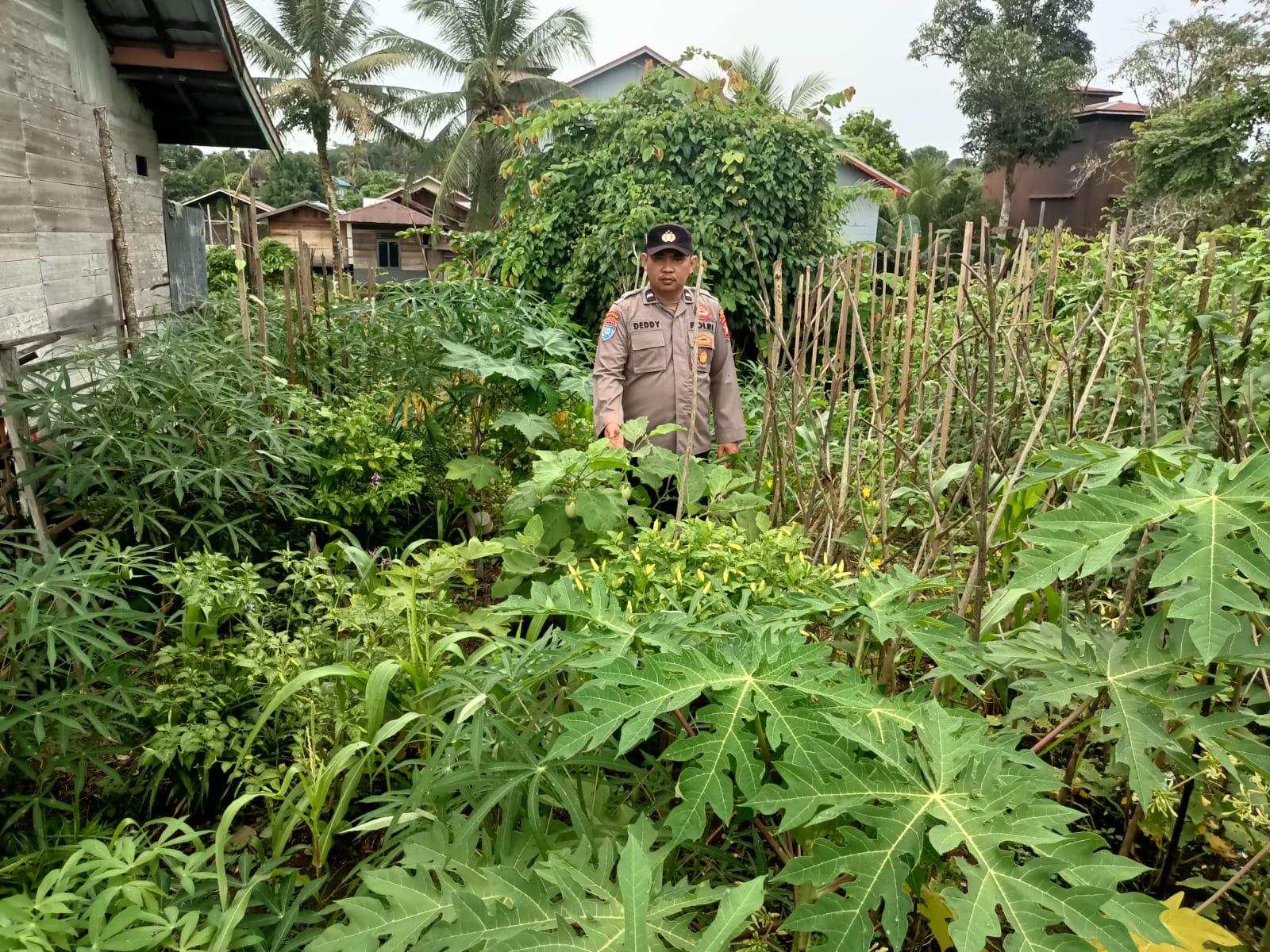 Personil Polsek Marikit Cek Lokasi Pemanfaatan Pekarangan Warga di Kec. Marikit, Kab. Katingan.