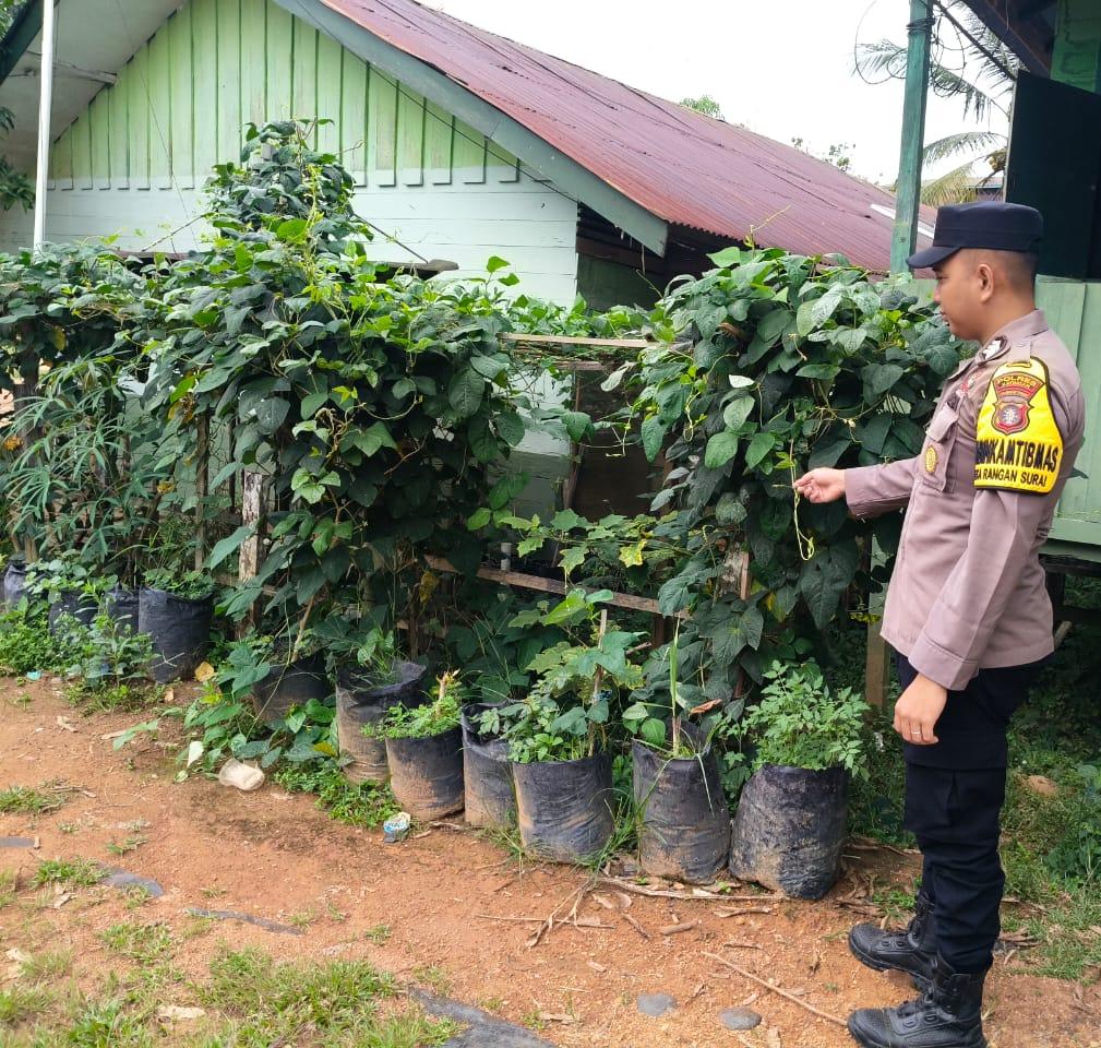 Polsek Marikit melaksanakan kegiatan pengecekan pemanfaatan lahan dalam program Ketahanan Pangan bentuk Dukungan terhadap Kebijakan Presiden RI tentang Asta Cita Ketahanan Pangan