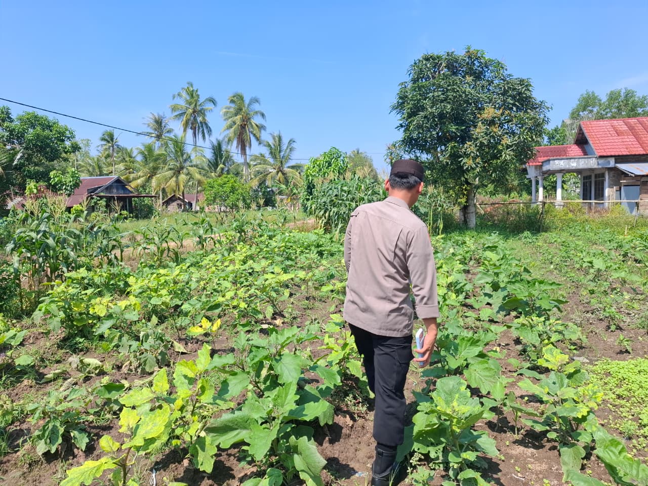 Mendukung ketahanan pangan, Personil Polsek Katingan Kuala cek lokasi pemanfaatan lahan warga berkebun holtikultura