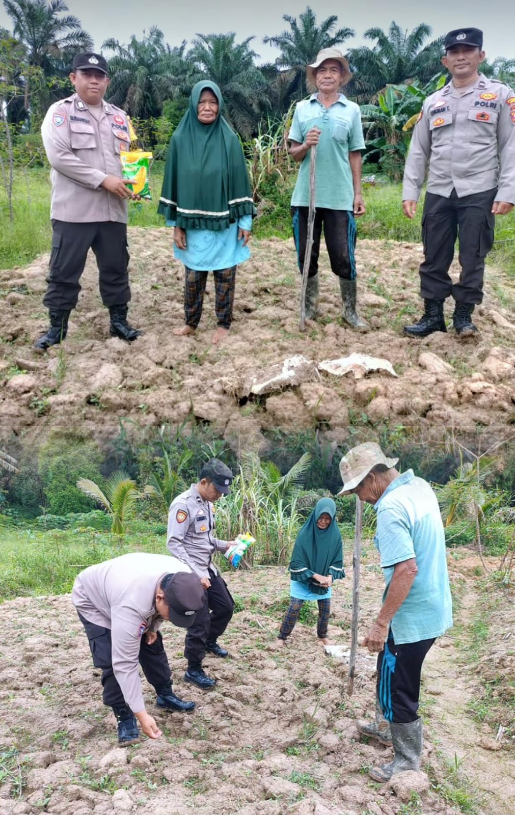 Bhabinkamtibmas Sematu Jaya Dukung Swasembada Jagung Melalui Kegiatan Penanaman