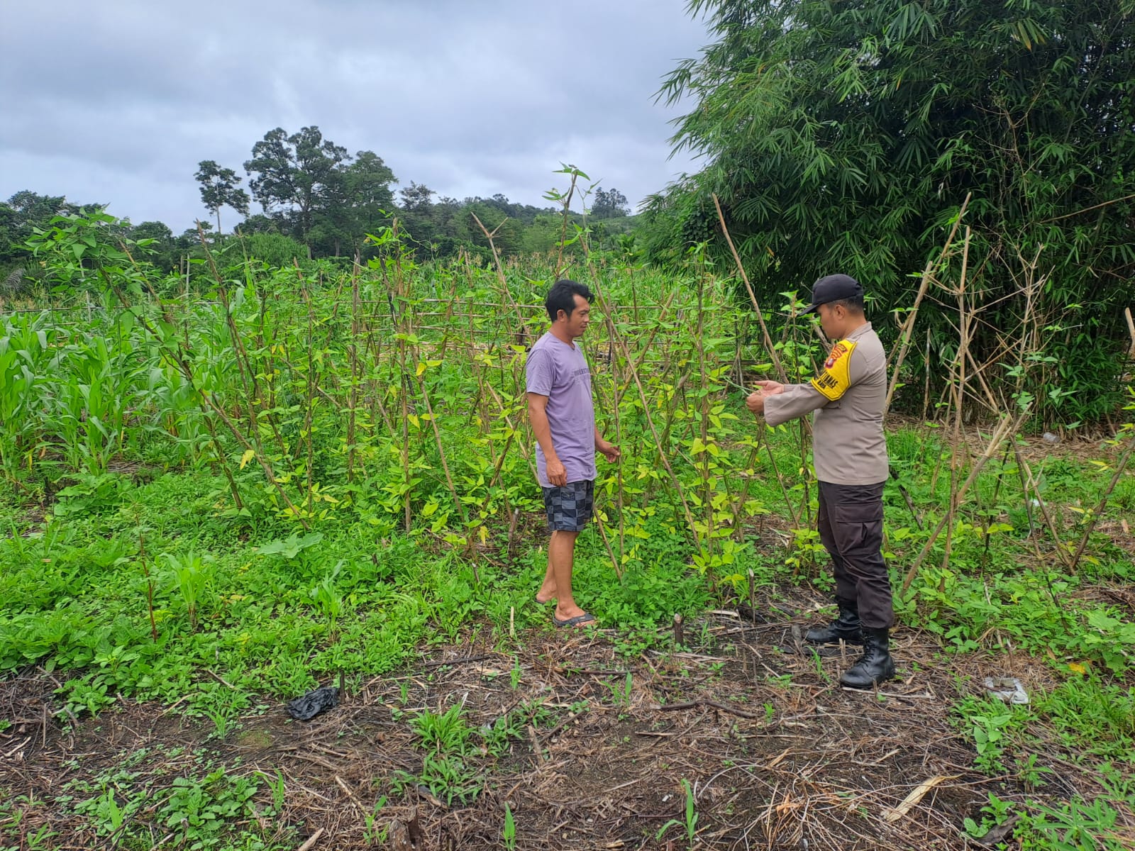 Mendukung Ketahanan Pangan, Personil Polsek Katingan Hulu dan Bukit Raya Cek Lokasi Pemanfaatan Pekarangan Warga.