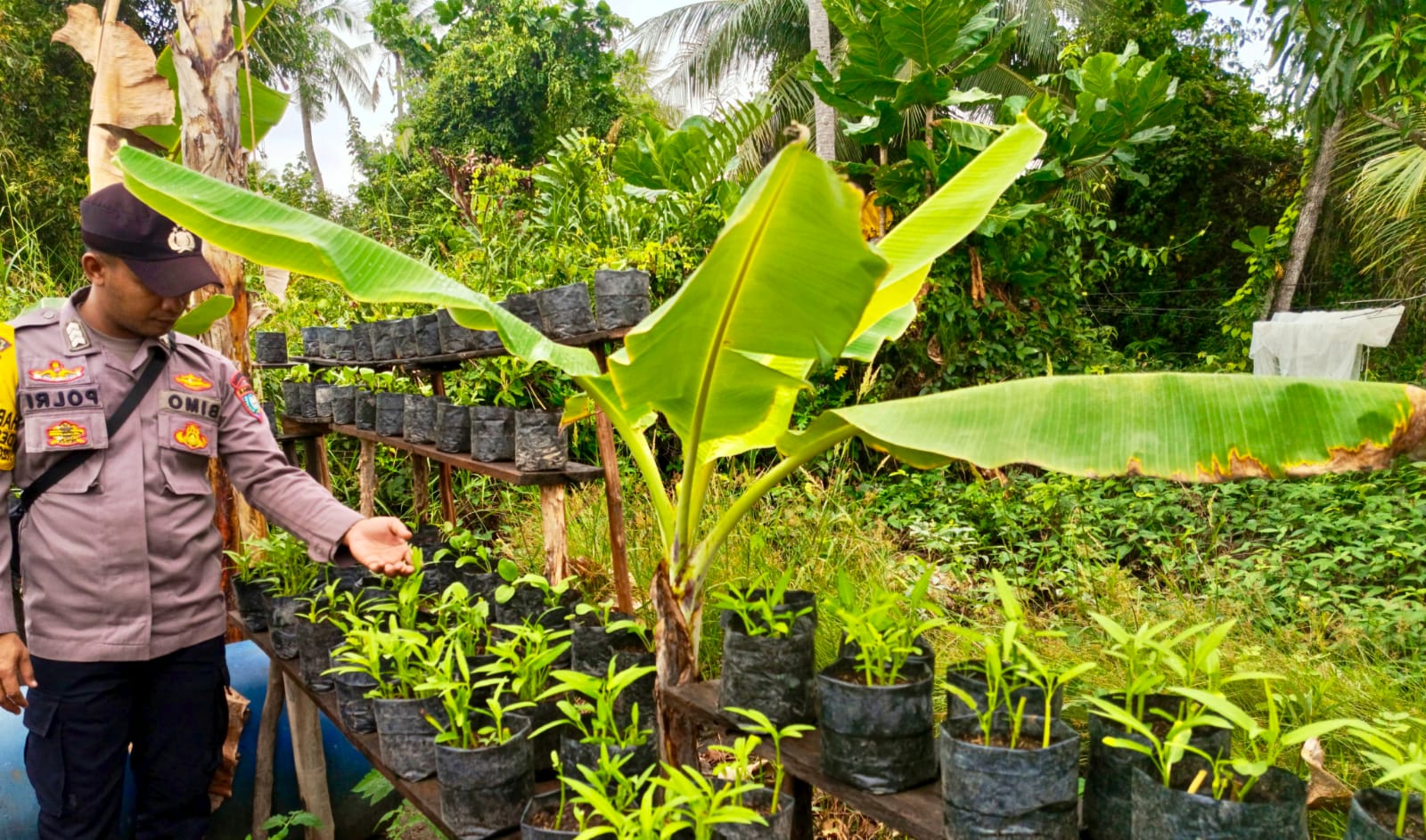‎Polsek Tewang Sangalang Garing dan Pulau Malan Imbau Warga Tingkatkan Pemanfaatan Lahan Untuk Ketahanan Pangan