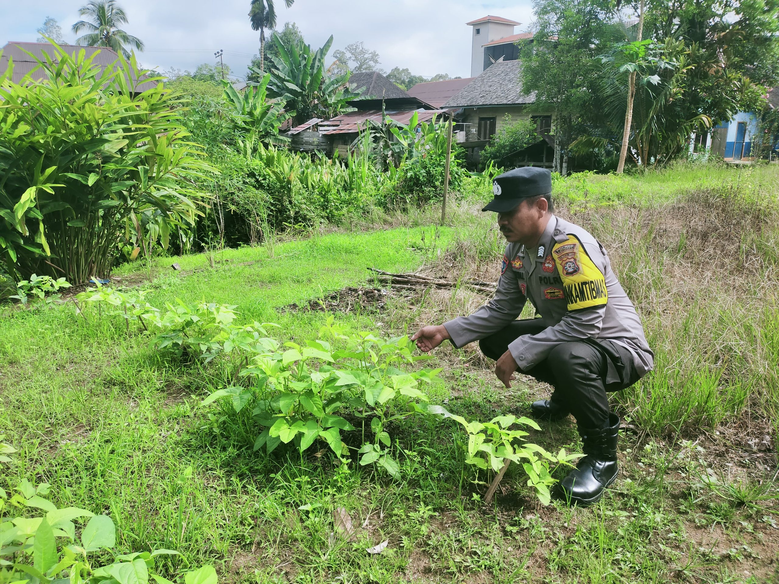 Mendukung Ketahanan Pangan, Personil Polsek sanaman mantikei Cek Lokasi Pemanfaatan Pekarangan Warga.