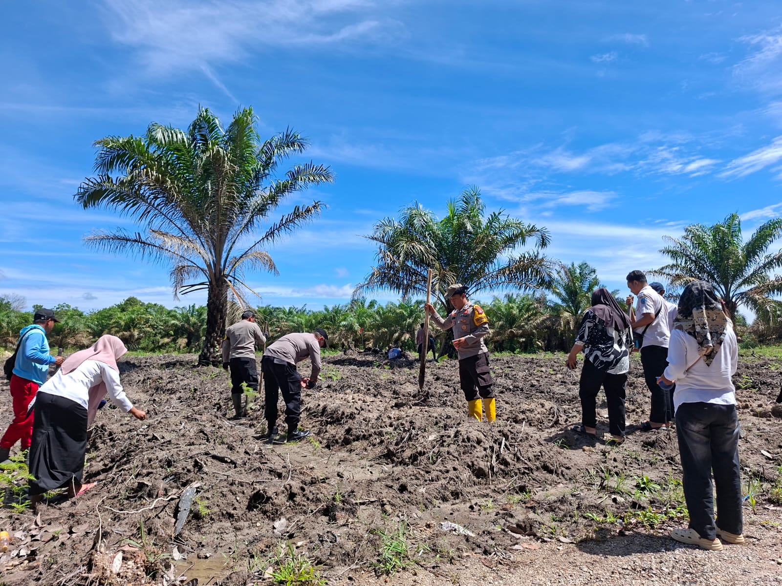 Dukung Swasembada Jagung, Kapolsek Bulik dan Warga Kompak Tanam Jagung
