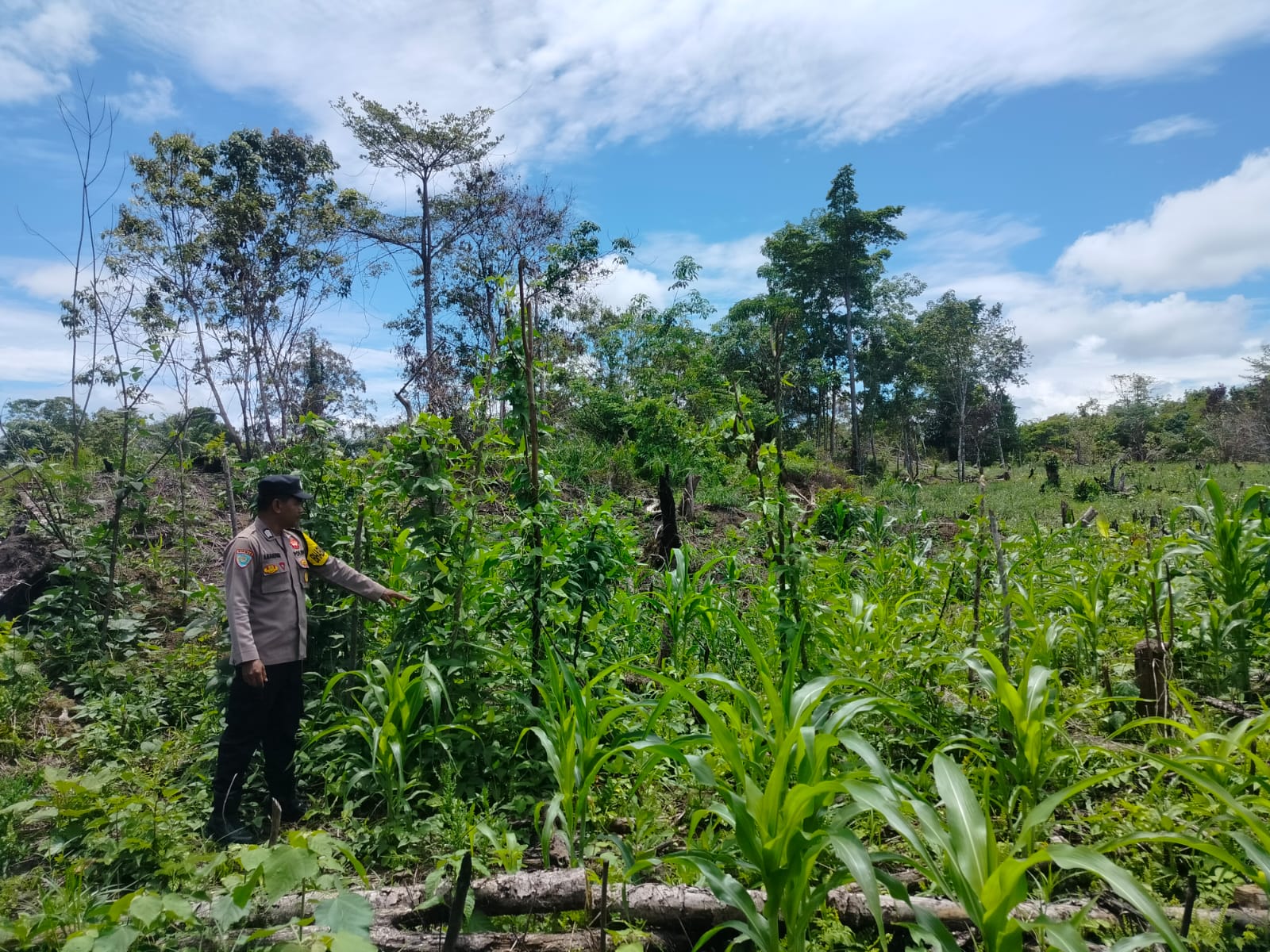 Polsek Marikit Cek Pemanfaatan Lahan, Dukung Program Asta Cita Ketahanan Pangan
