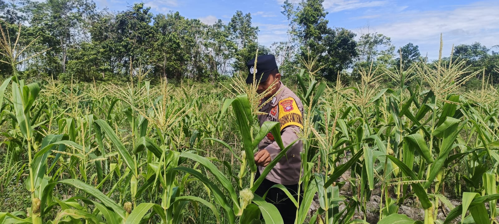 ‎Polsek Tewang Sangalang Garing dan Pulau Malan Imbau Warga Tingkatkan Pemanfaatan Lahan Untuk Ketahanan Pangan