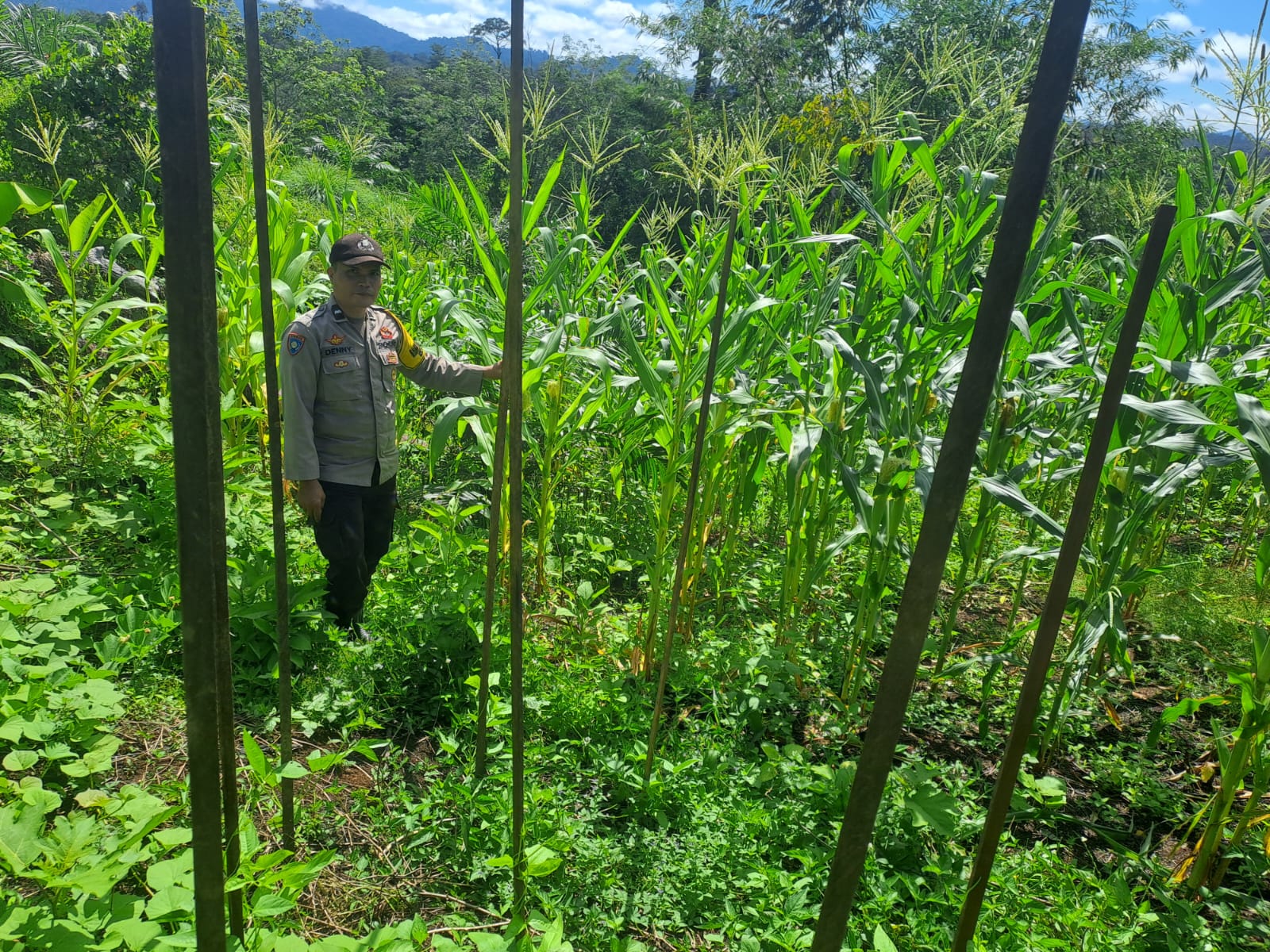 Mendukung Ketahanan Pangan, Personil Polsek Katingan Hulu dan Bukit Raya Cek Lokasi Pemanfaatan Pekarangan Warga.