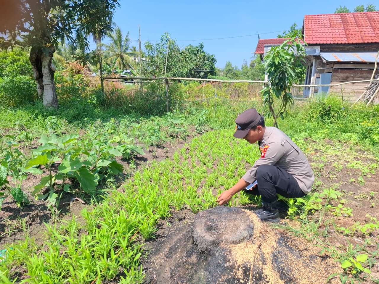 Mendukung ketahanan pangan, Personil Polsek Katingan Kuala cek lokasi pemanfaatan lahan warga berkebun holtikultura