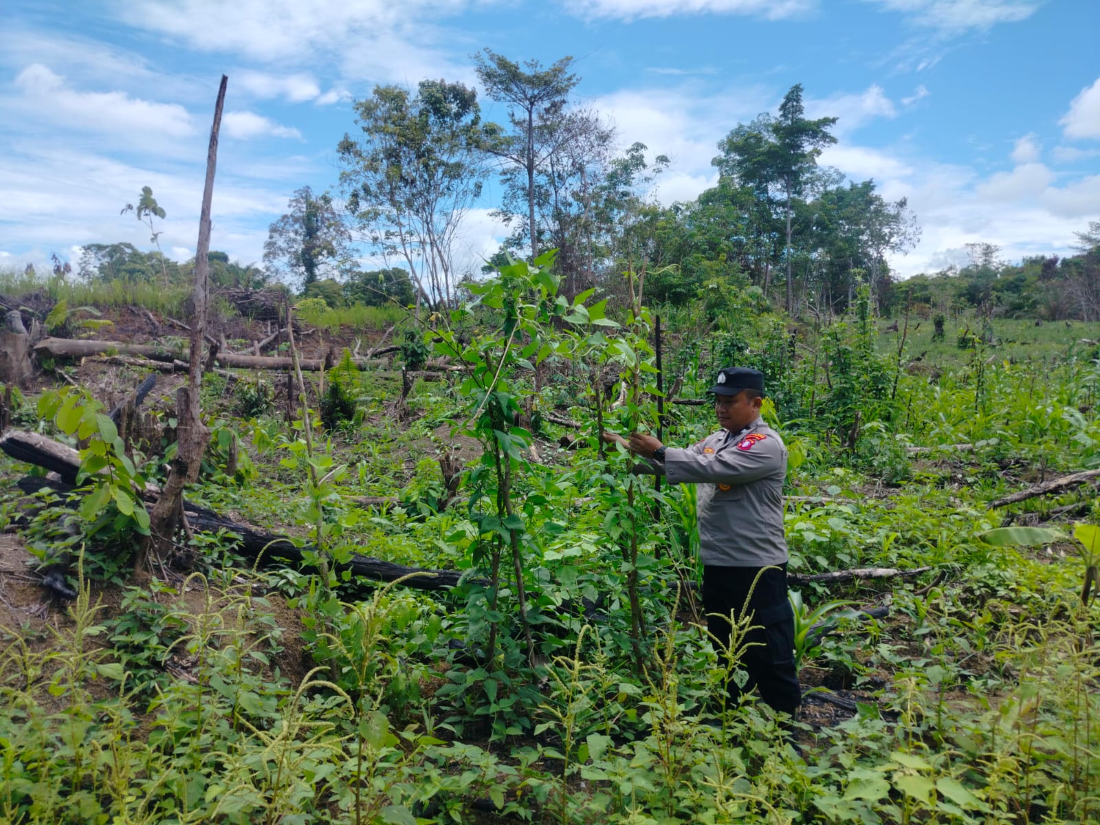 Dari Pekarangan ke Kemandirian: Polsek Marikit Gerakkan Lumbung Pangan Warga